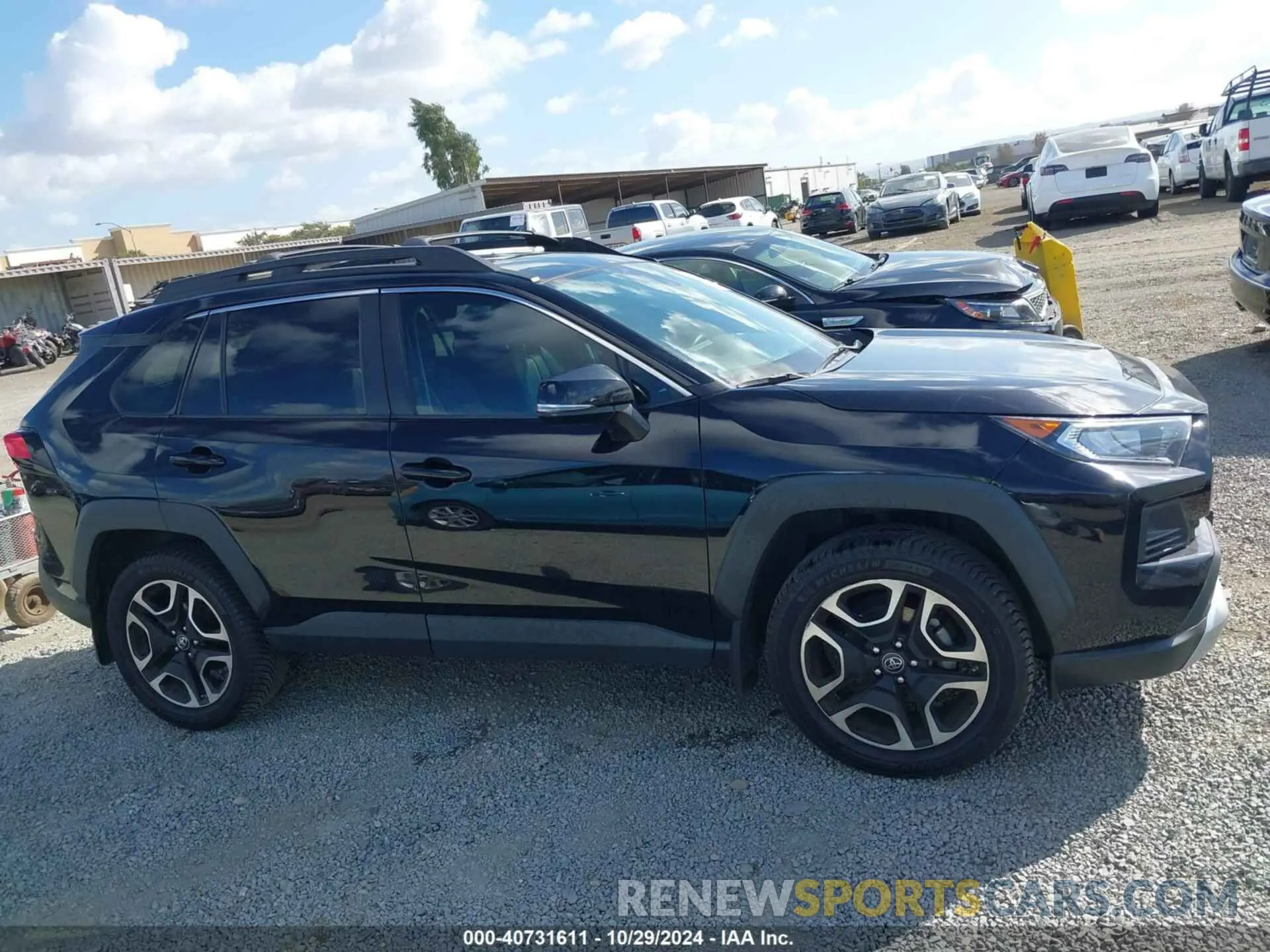 13 fotografías del automóvil dañado 2T3J1RFV0KW008655 TOYOTA RAV4 2019