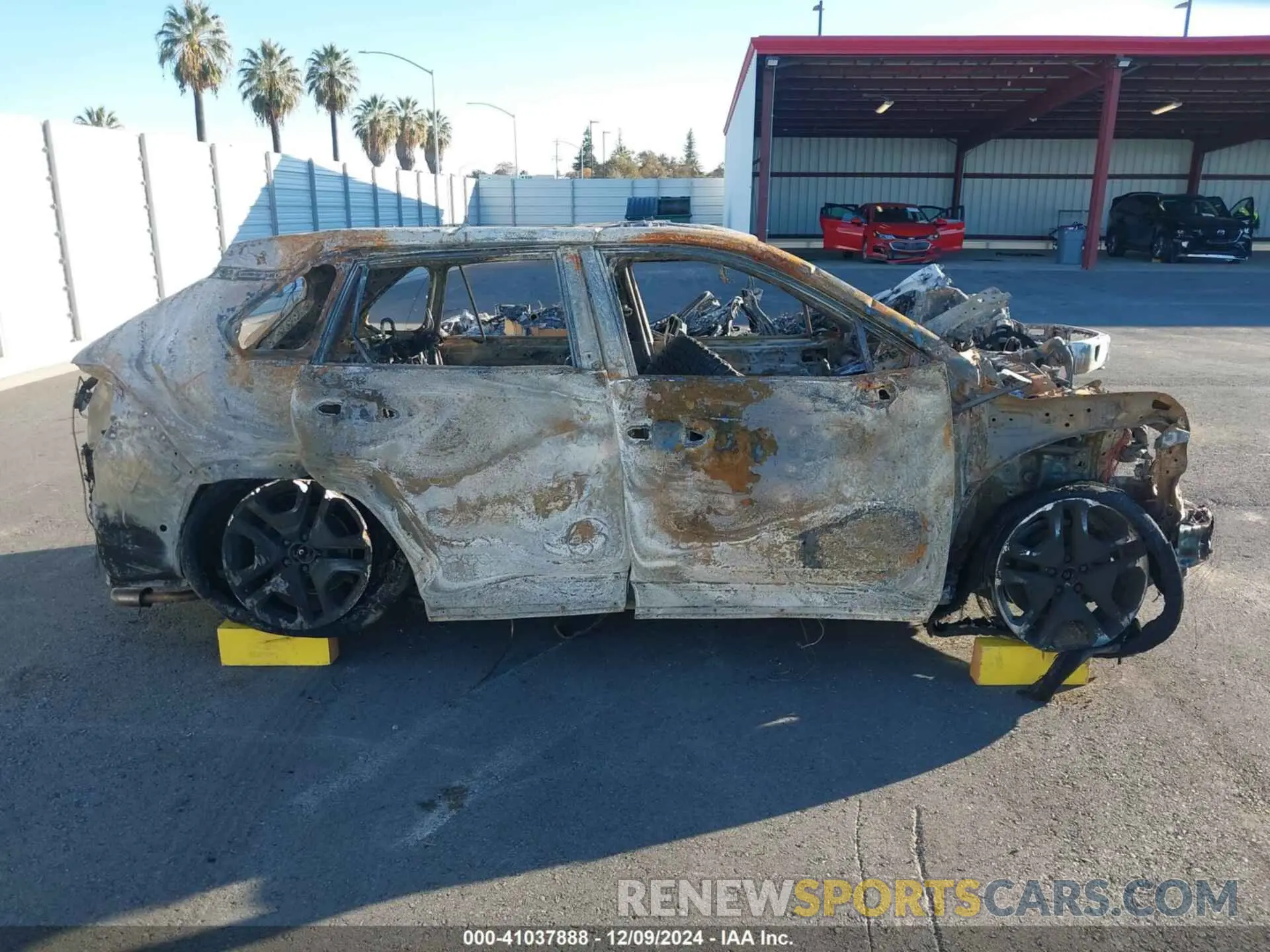 12 fotografías del automóvil dañado 2T3J1RFV2KC007119 TOYOTA RAV4 2019
