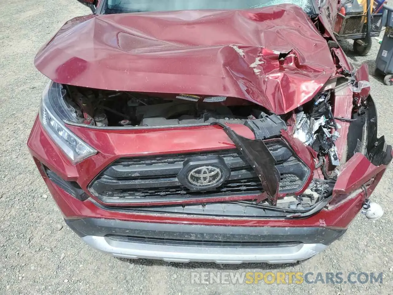 12 fotografías del automóvil dañado 2T3J1RFV3KW040130 TOYOTA RAV4 2019