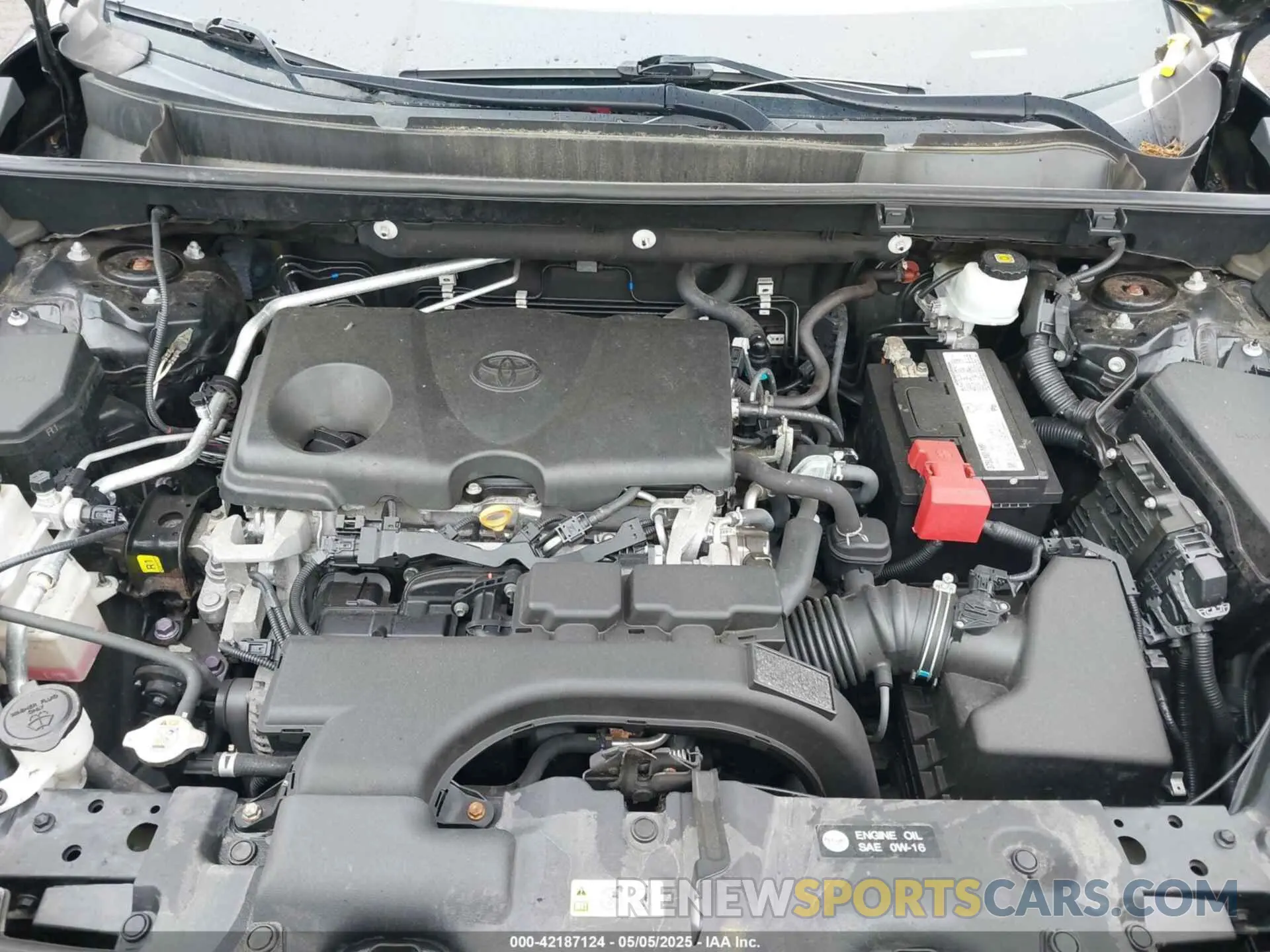 10 fotografías del automóvil dañado 2T3J1RFV5KW028786 TOYOTA RAV4 2019