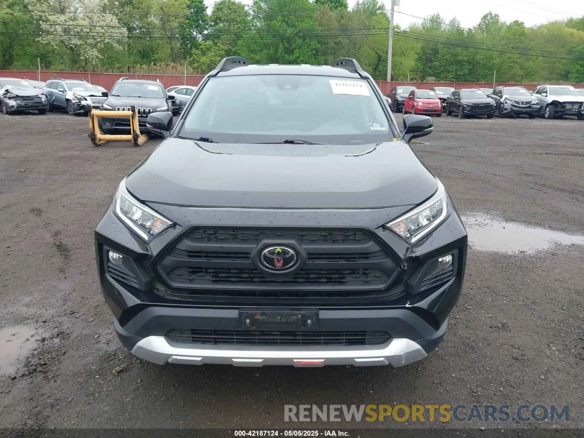 12 fotografías del automóvil dañado 2T3J1RFV5KW028786 TOYOTA RAV4 2019