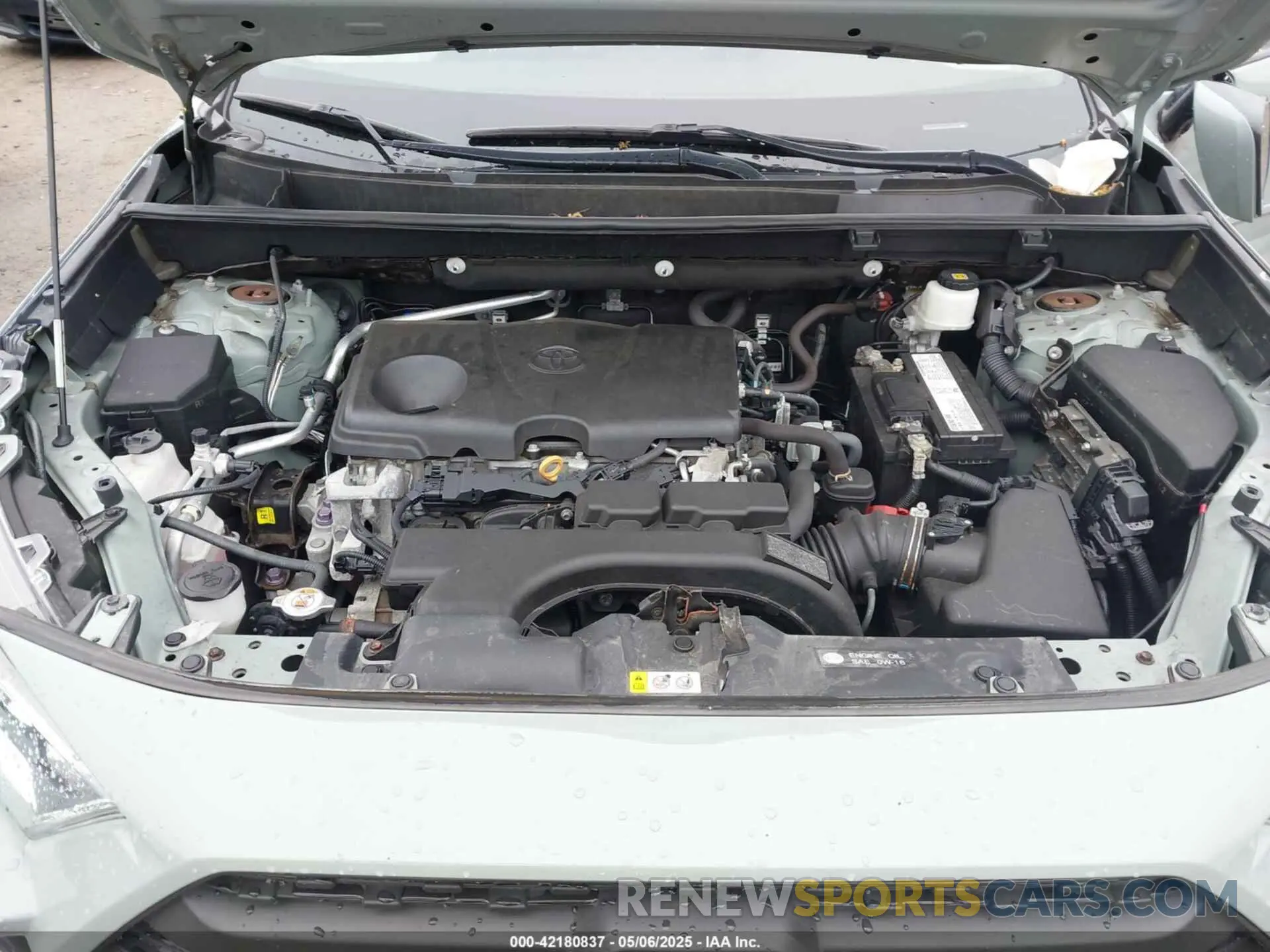 10 fotografías del automóvil dañado 2T3J1RFV6KW006442 TOYOTA RAV4 2019