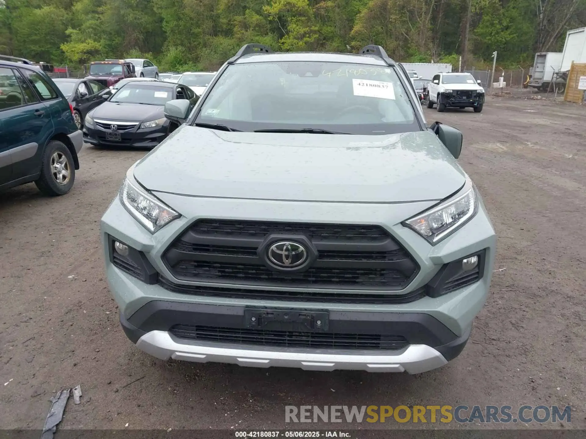 12 fotografías del automóvil dañado 2T3J1RFV6KW006442 TOYOTA RAV4 2019