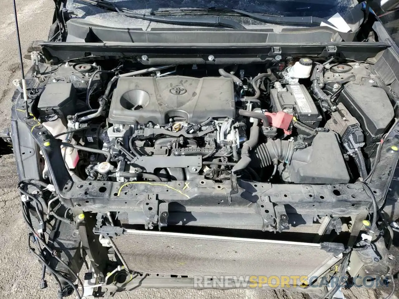 13 fotografías del automóvil dañado 2T3J1RFV6KW017389 TOYOTA RAV4 2019