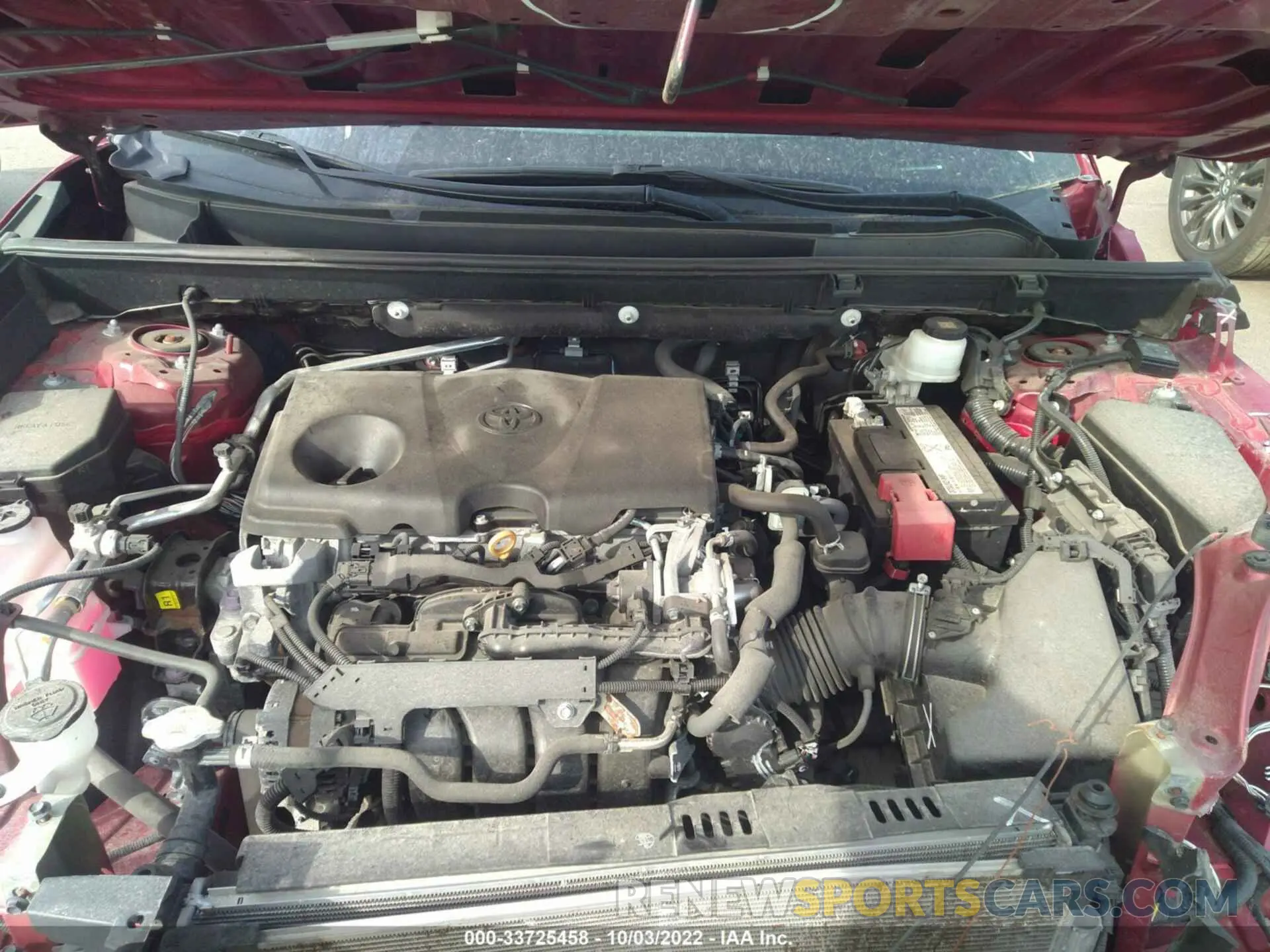 10 fotografías del automóvil dañado 2T3J1RFV6KW023905 TOYOTA RAV4 2019