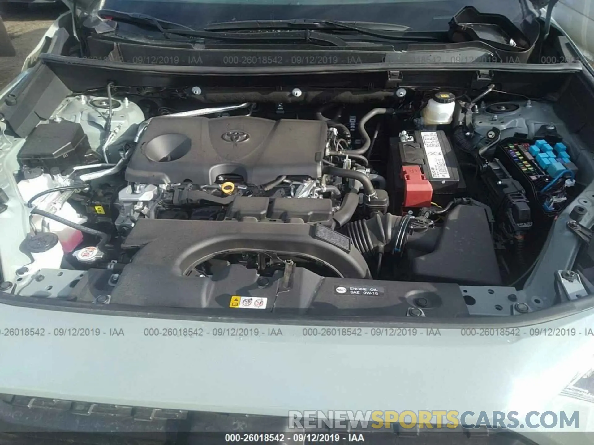 10 fotografías del automóvil dañado 2T3J1RFV7KC024112 TOYOTA RAV4 2019
