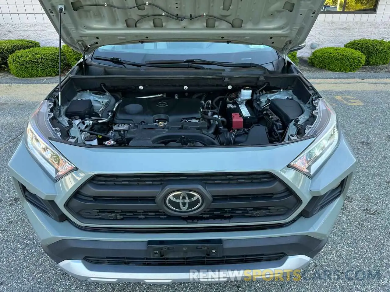 7 fotografías del automóvil dañado 2T3J1RFV8KW041189 TOYOTA RAV4 2019