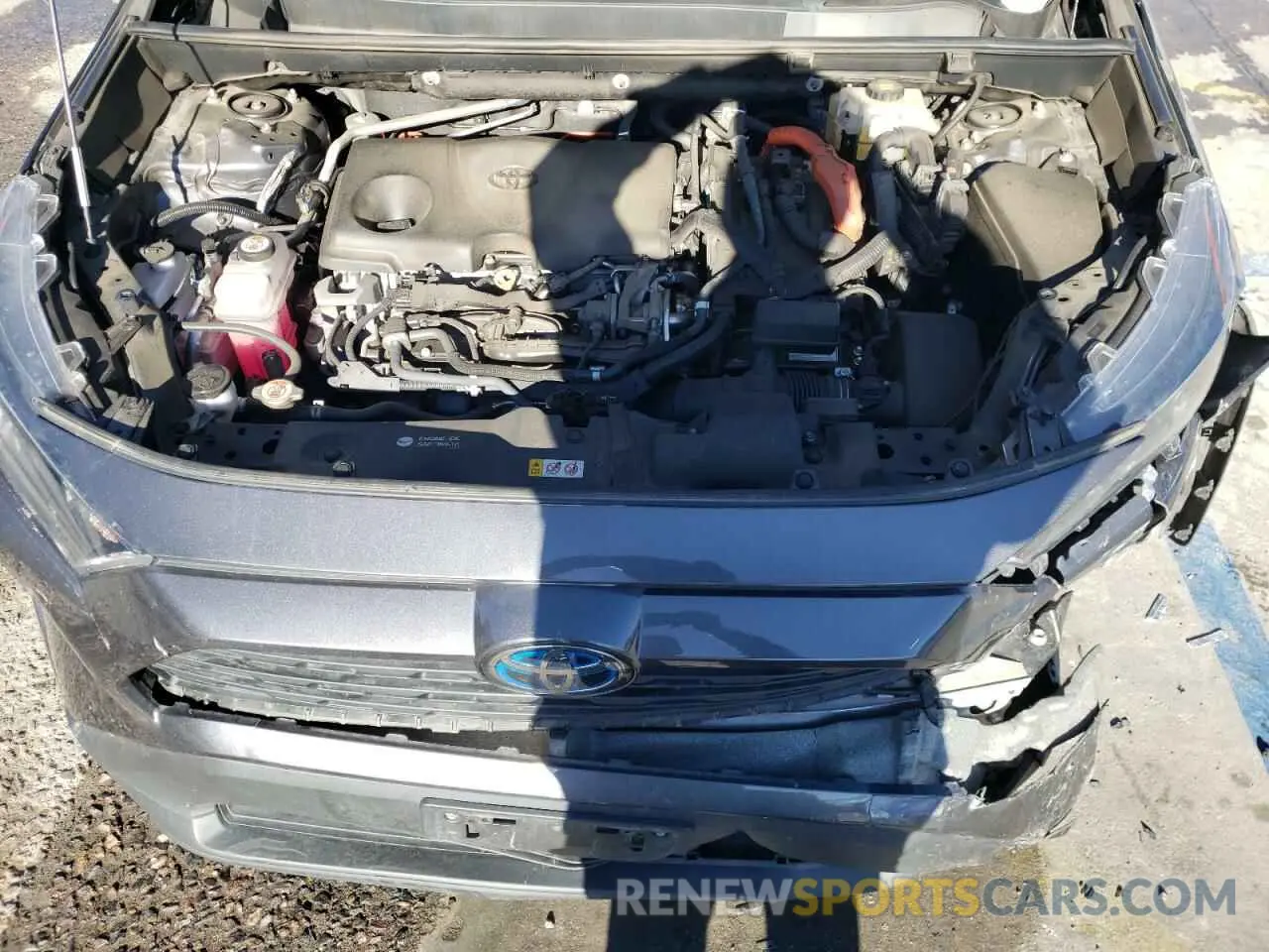 7 fotografías del automóvil dañado 2T3LWRFV4KW018518 TOYOTA RAV4 2019