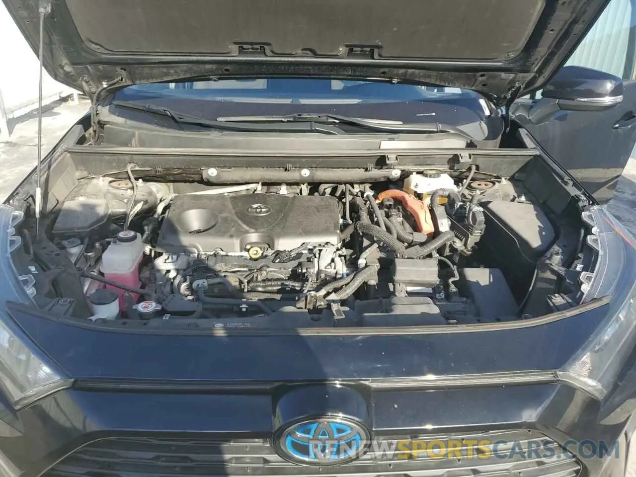 12 fotografías del automóvil dañado 2T3MWRFV5KW012179 TOYOTA RAV4 2019