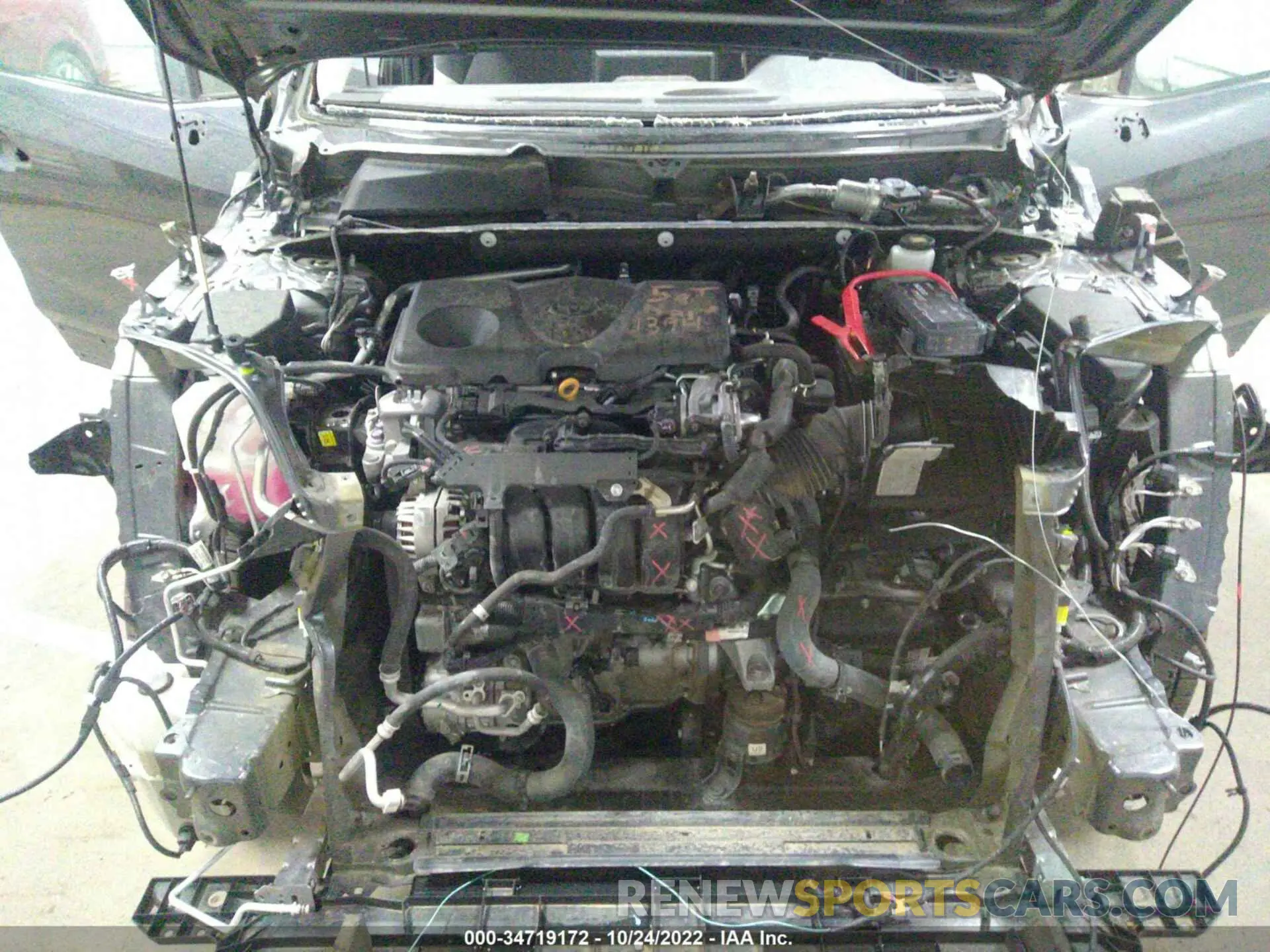 10 fotografías del automóvil dañado 2T3P1RFV1KC004559 TOYOTA RAV4 2019