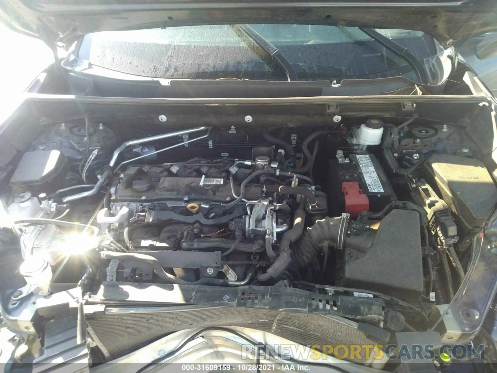 10 fotografías del automóvil dañado 2T3P1RFV2KC037103 TOYOTA RAV4 2019