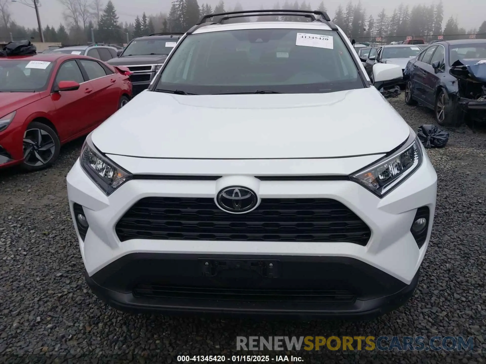 12 fotografías del automóvil dañado 2T3P1RFV2KW027153 TOYOTA RAV4 2019