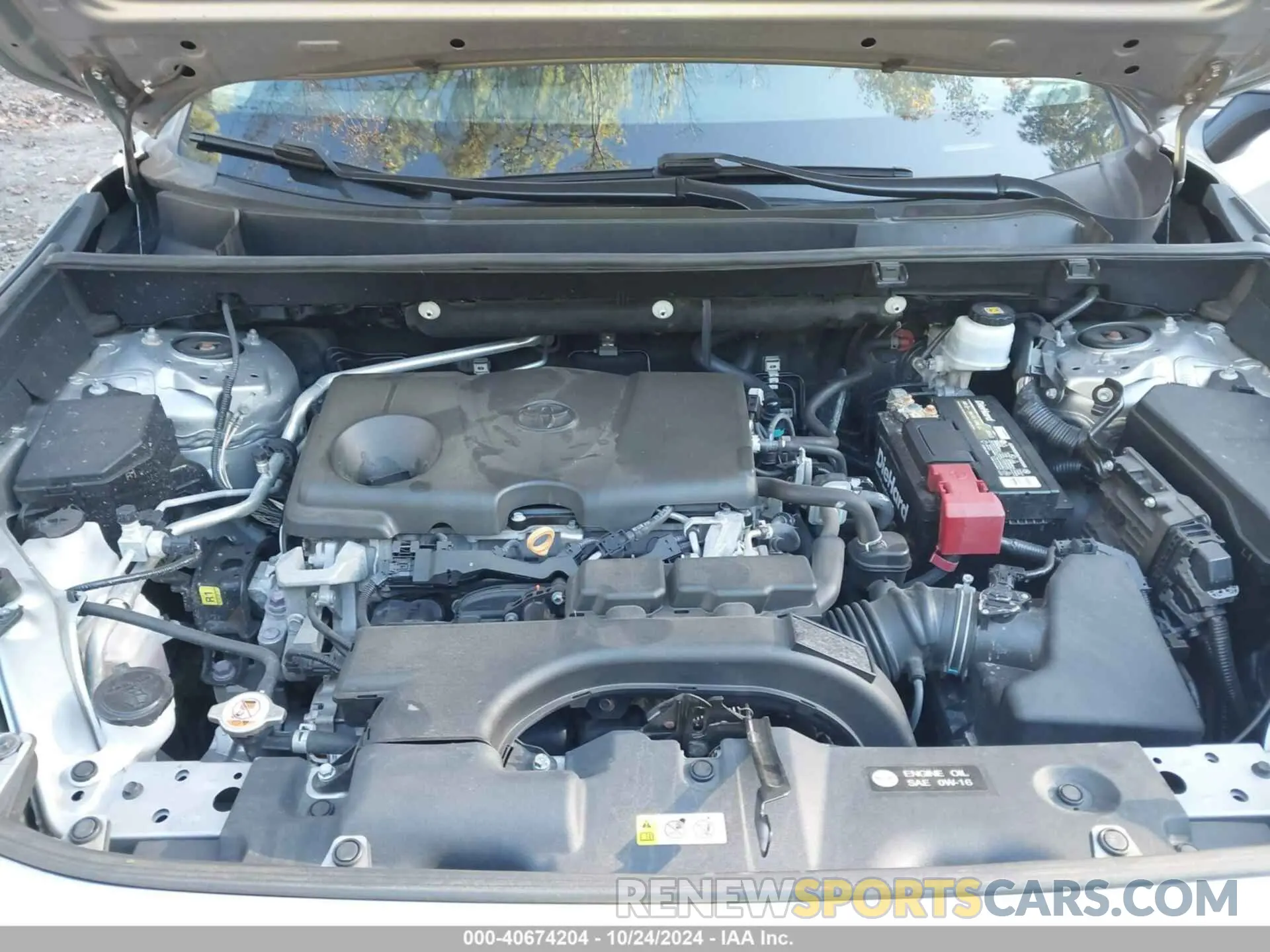 10 fotografías del automóvil dañado 2T3P1RFV3KW029459 TOYOTA RAV4 2019