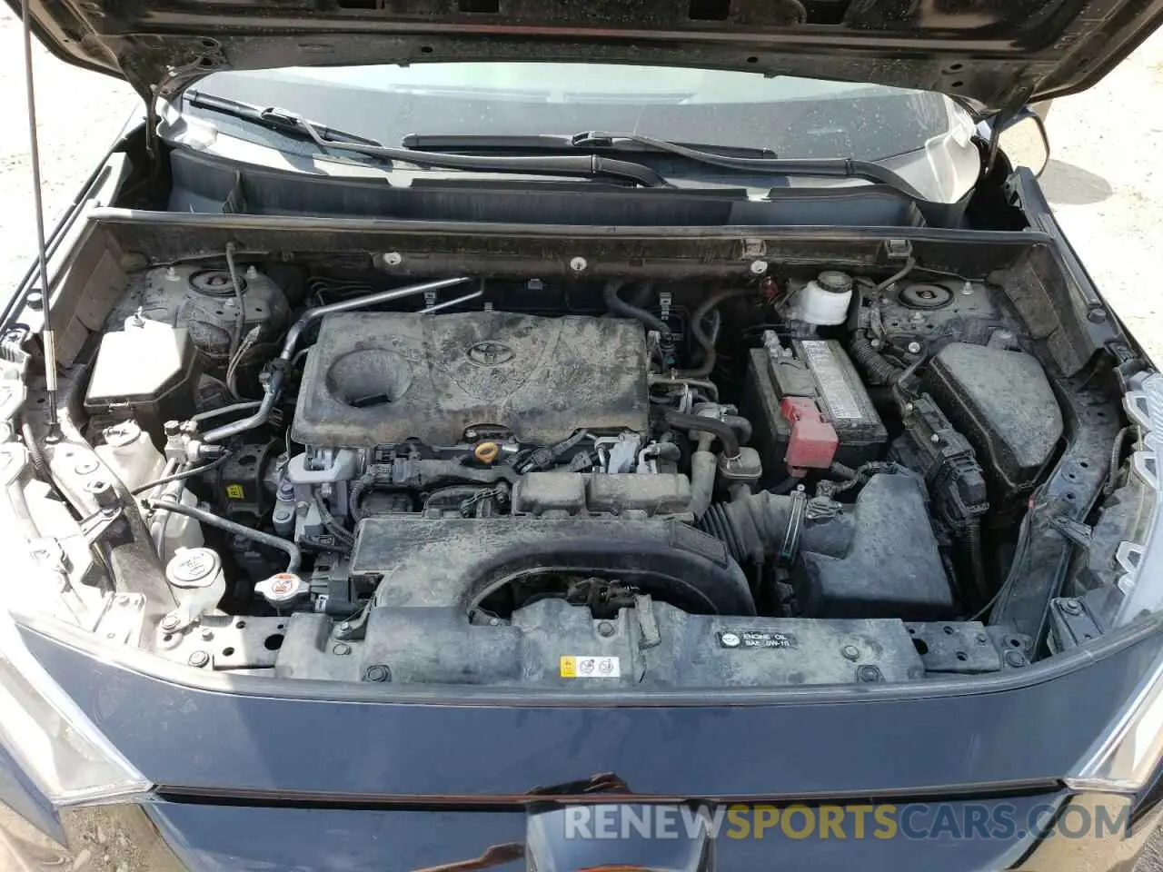 12 fotografías del automóvil dañado 2T3P1RFV5KC014463 TOYOTA RAV4 2019