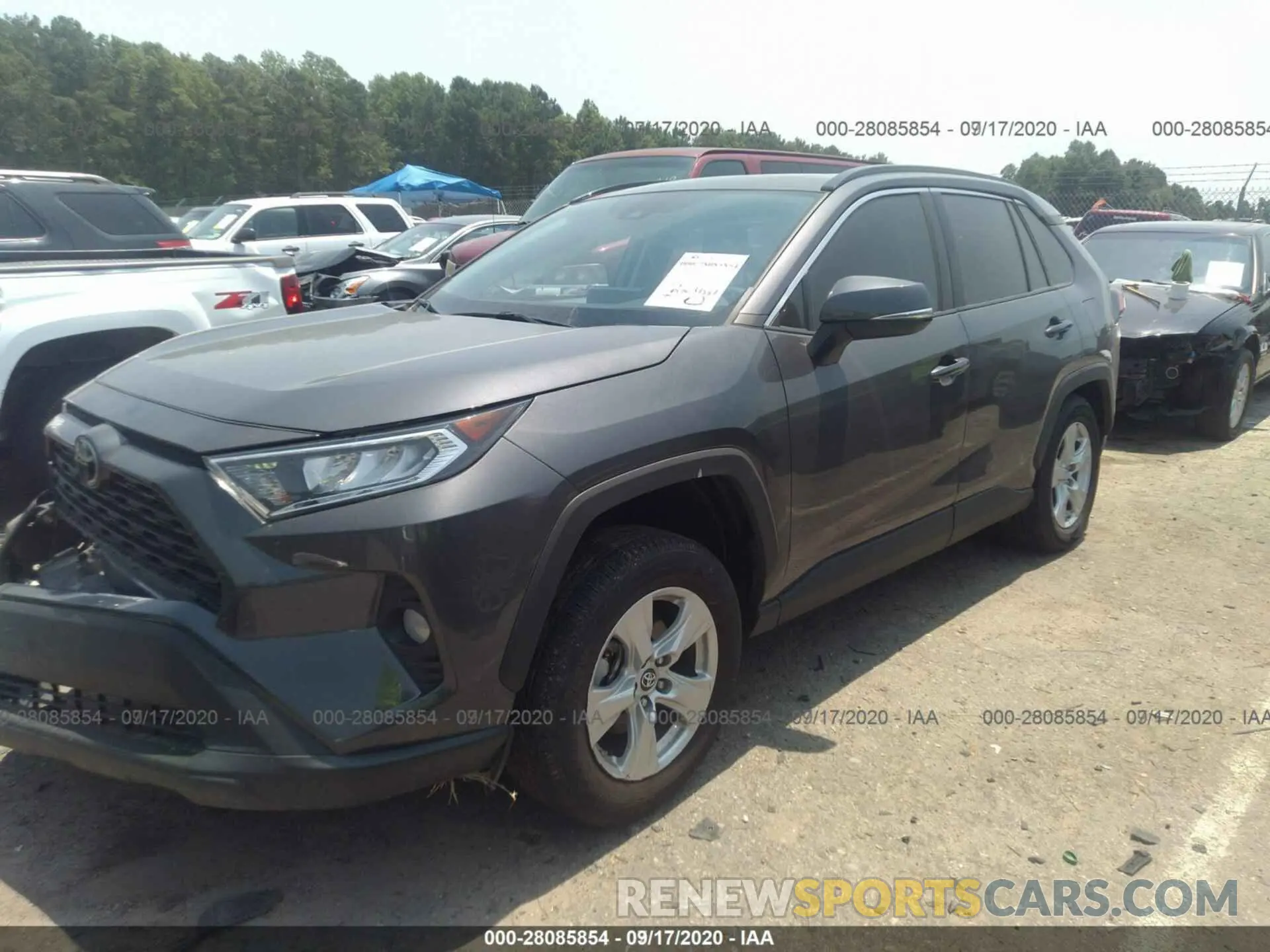 13 fotografías del automóvil dañado 2T3P1RFV7KW004662 TOYOTA RAV4 2019
