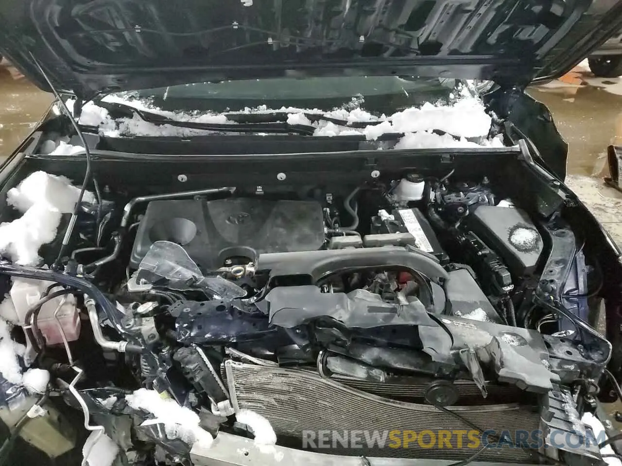 12 fotografías del automóvil dañado 2T3R1RFV8KC017463 TOYOTA RAV4 2019