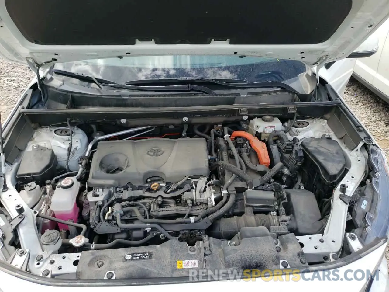 7 fotografías del automóvil dañado 2T3RWRFV0KW016520 TOYOTA RAV4 2019