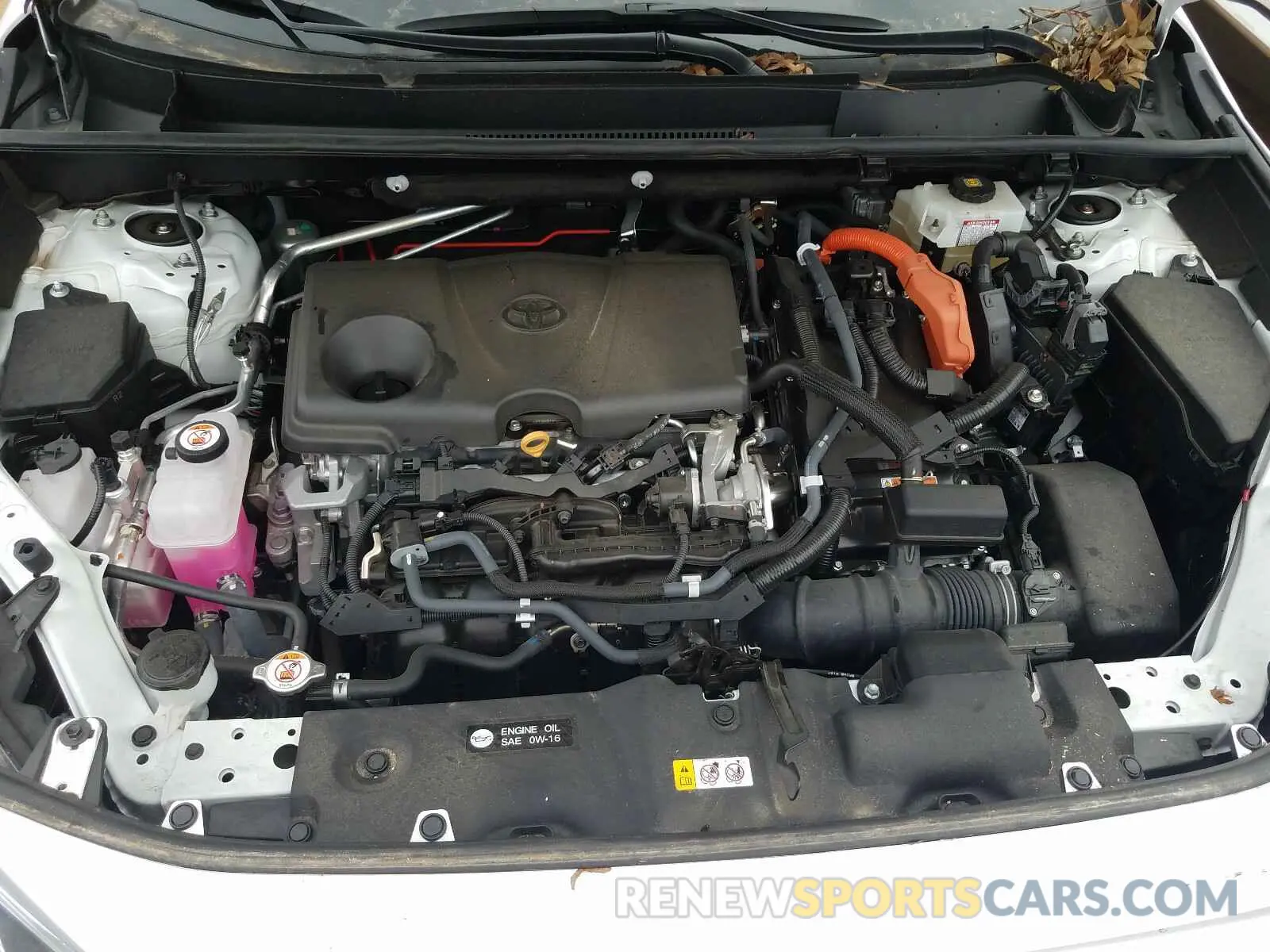 7 fotografías del automóvil dañado 2T3RWRFV0KW025220 TOYOTA RAV4 2019