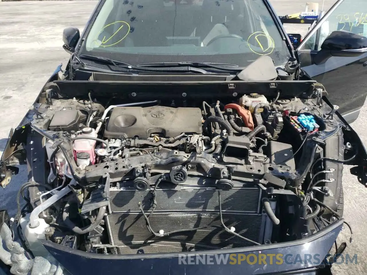 7 fotografías del automóvil dañado 2T3RWRFV2KW041709 TOYOTA RAV4 2019