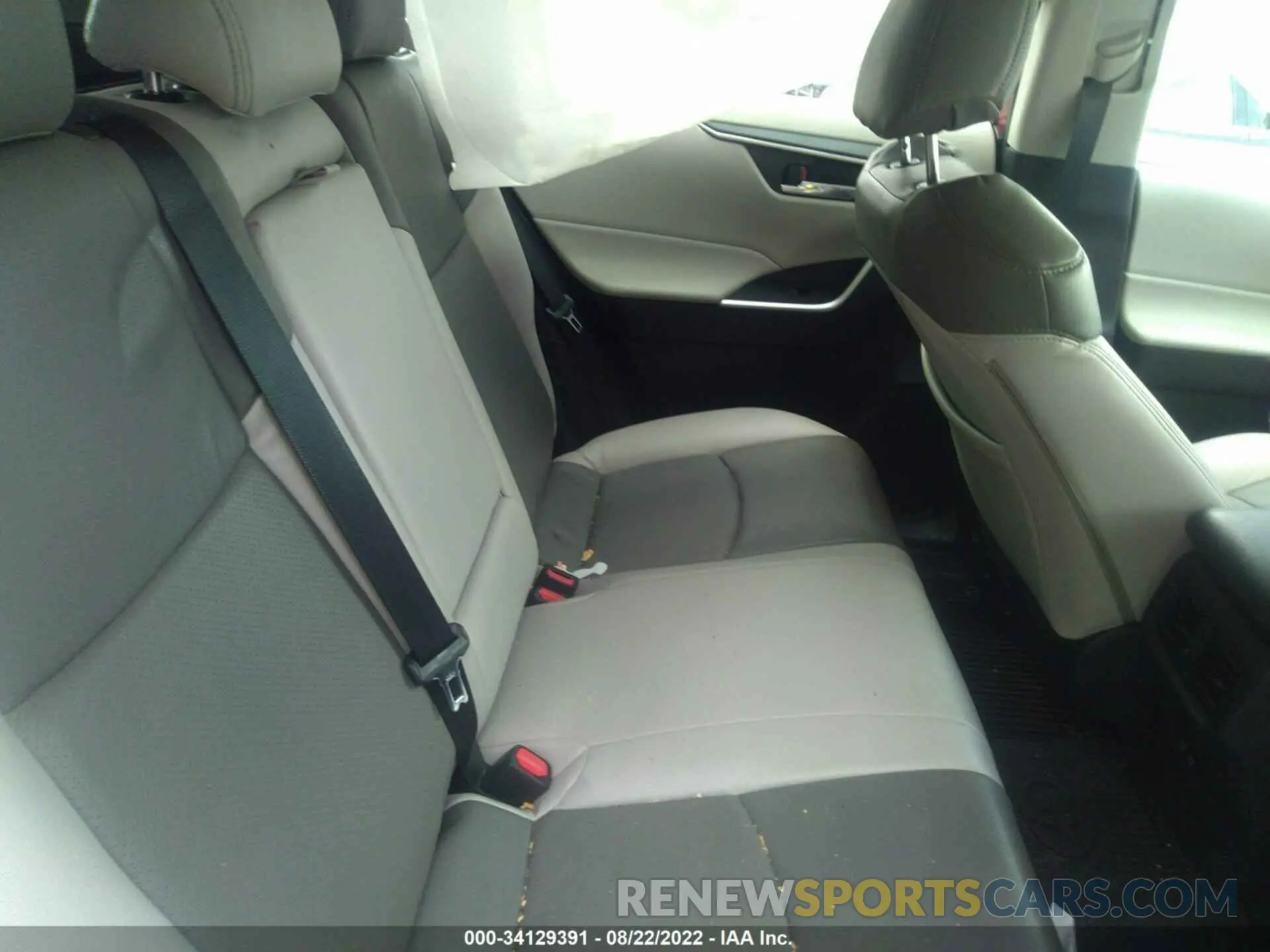 8 fotografías del automóvil dañado 2T3RWRFV3KW019573 TOYOTA RAV4 2019