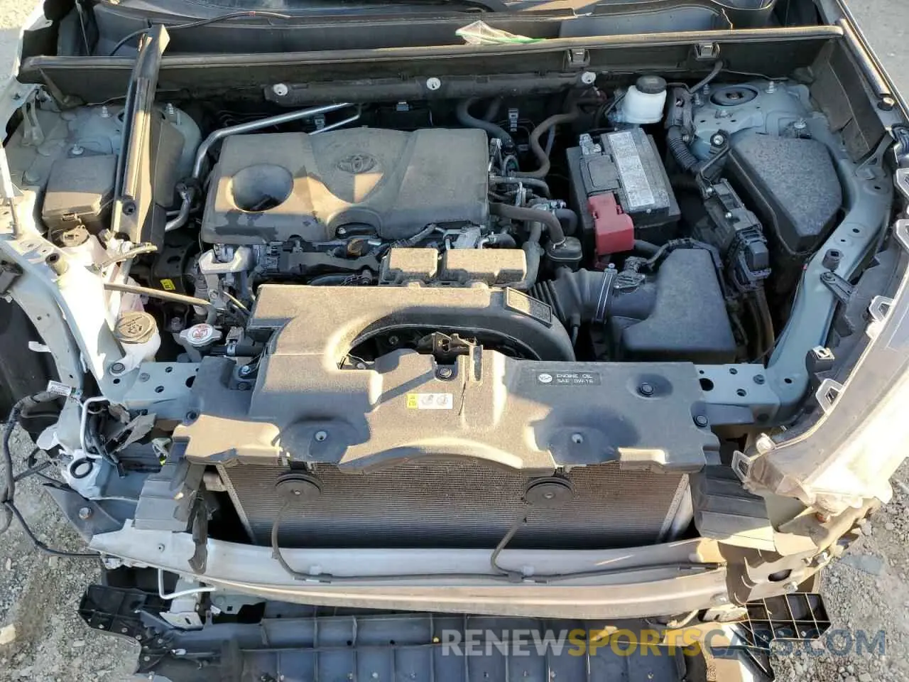 11 fotografías del automóvil dañado 2T3W1RFV2KW005911 TOYOTA RAV4 2019