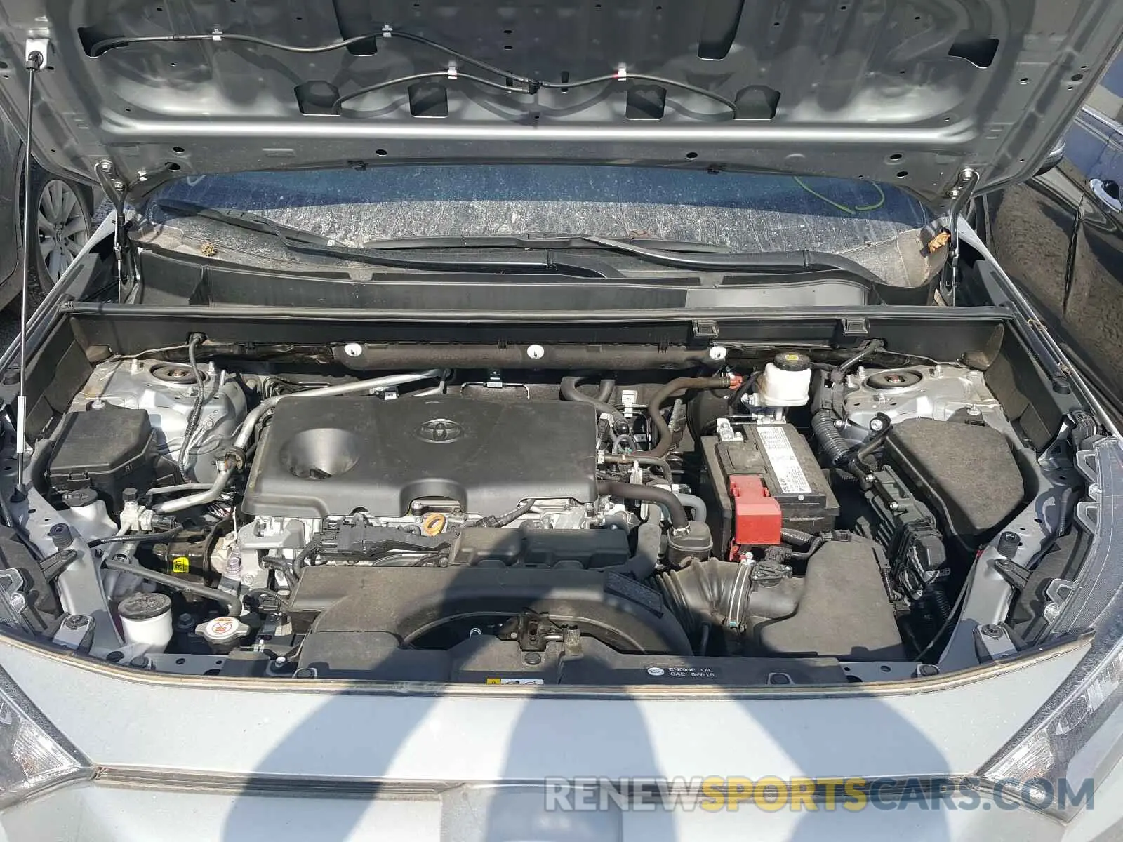 7 fotografías del automóvil dañado 2T3W1RFV4KW004081 TOYOTA RAV4 2019