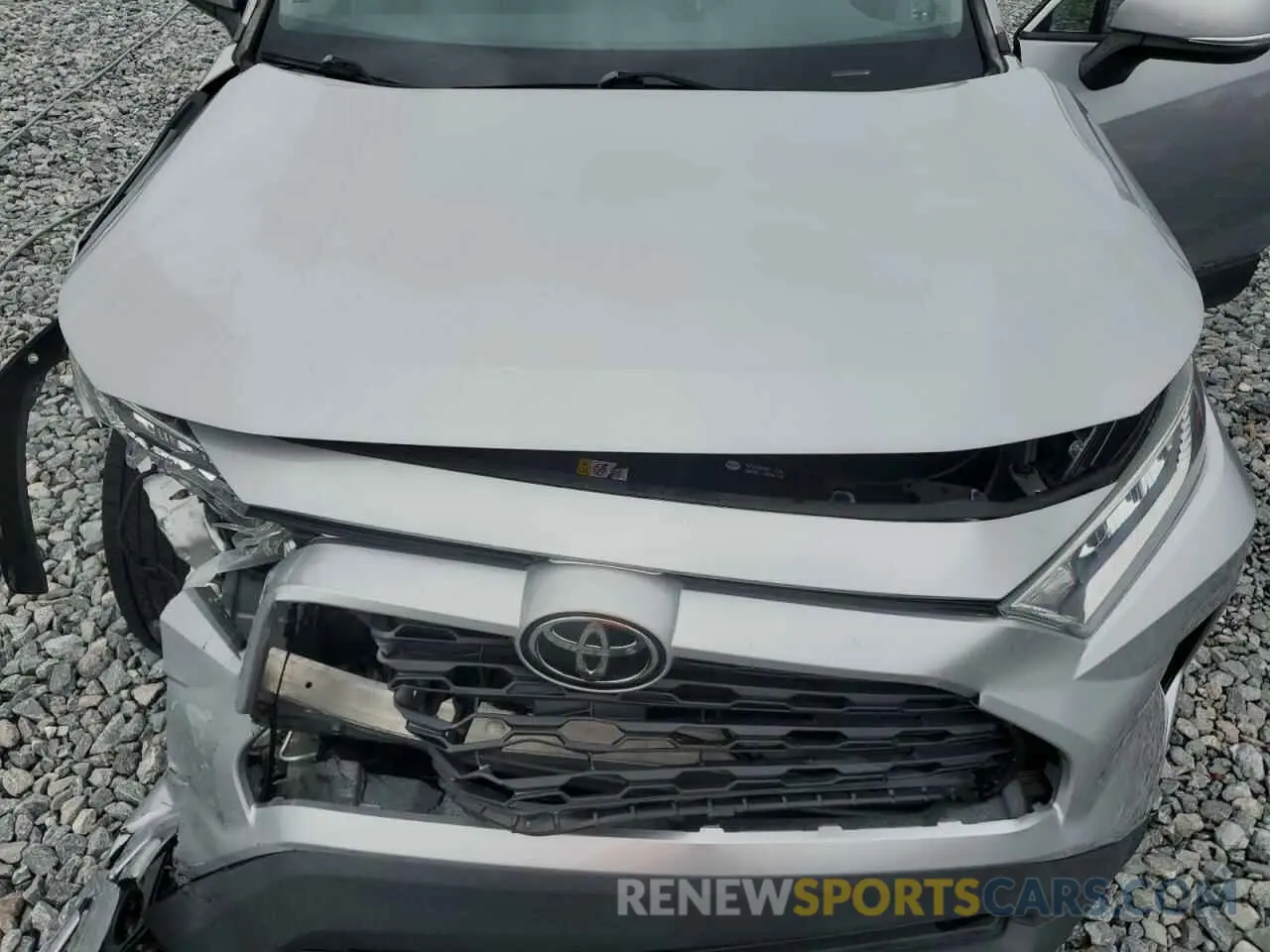 11 fotografías del automóvil dañado 2T3W1RFV7KW030819 TOYOTA RAV4 2019