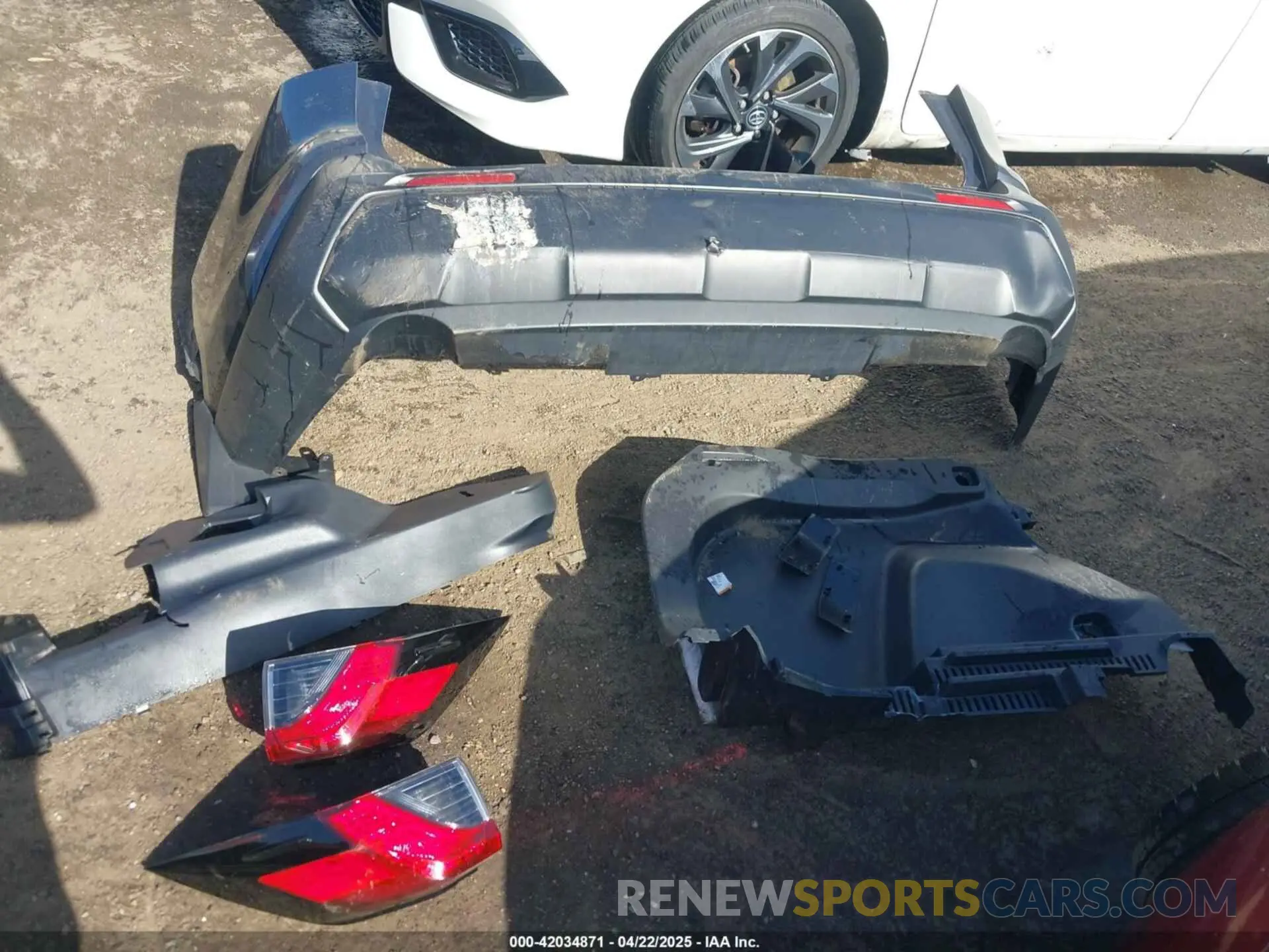 12 fotografías del automóvil dañado 2T3W1RFV8KW004648 TOYOTA RAV4 2019