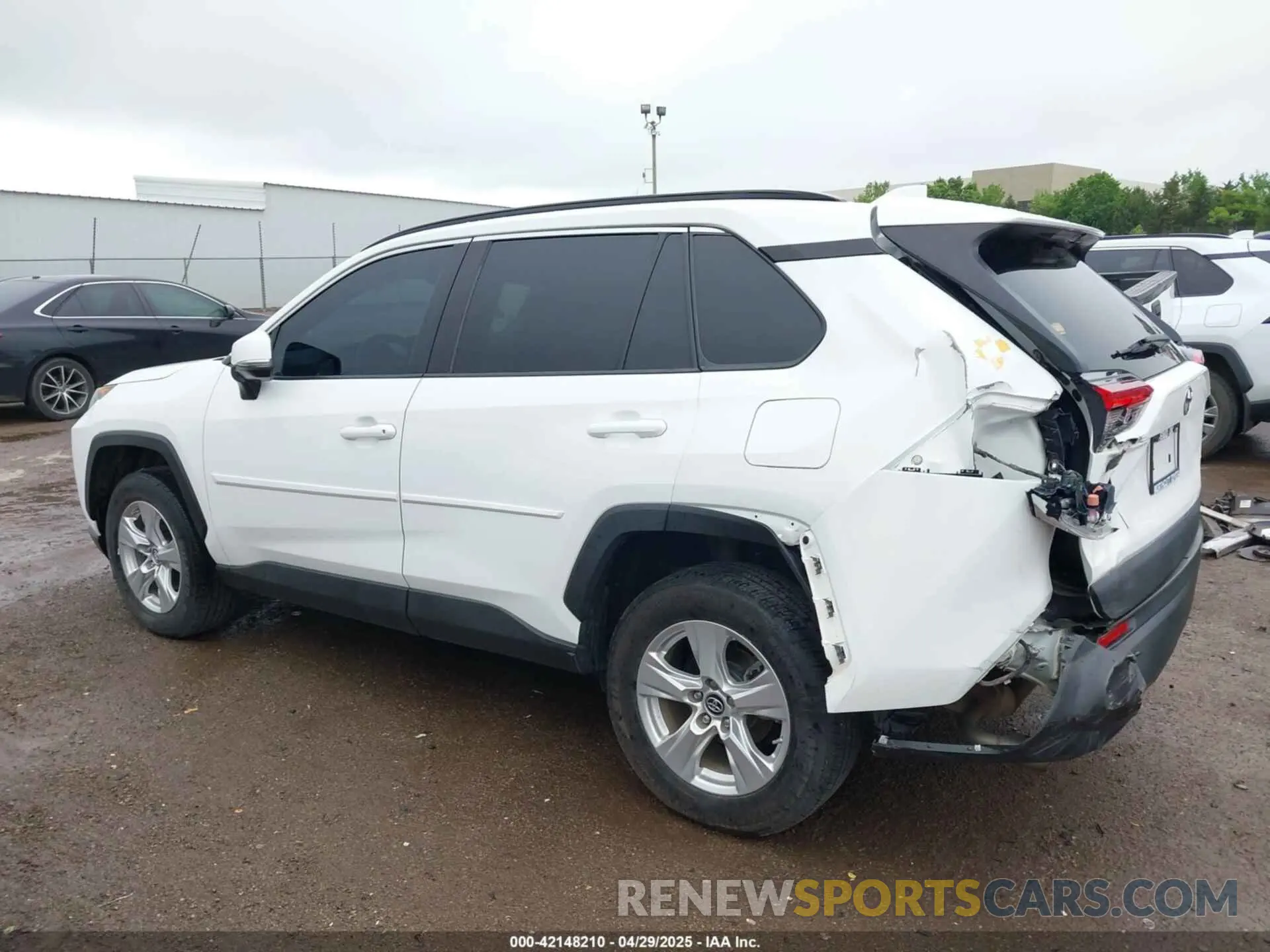 14 fotografías del automóvil dañado 2T3W1RFV8KW030117 TOYOTA RAV4 2019