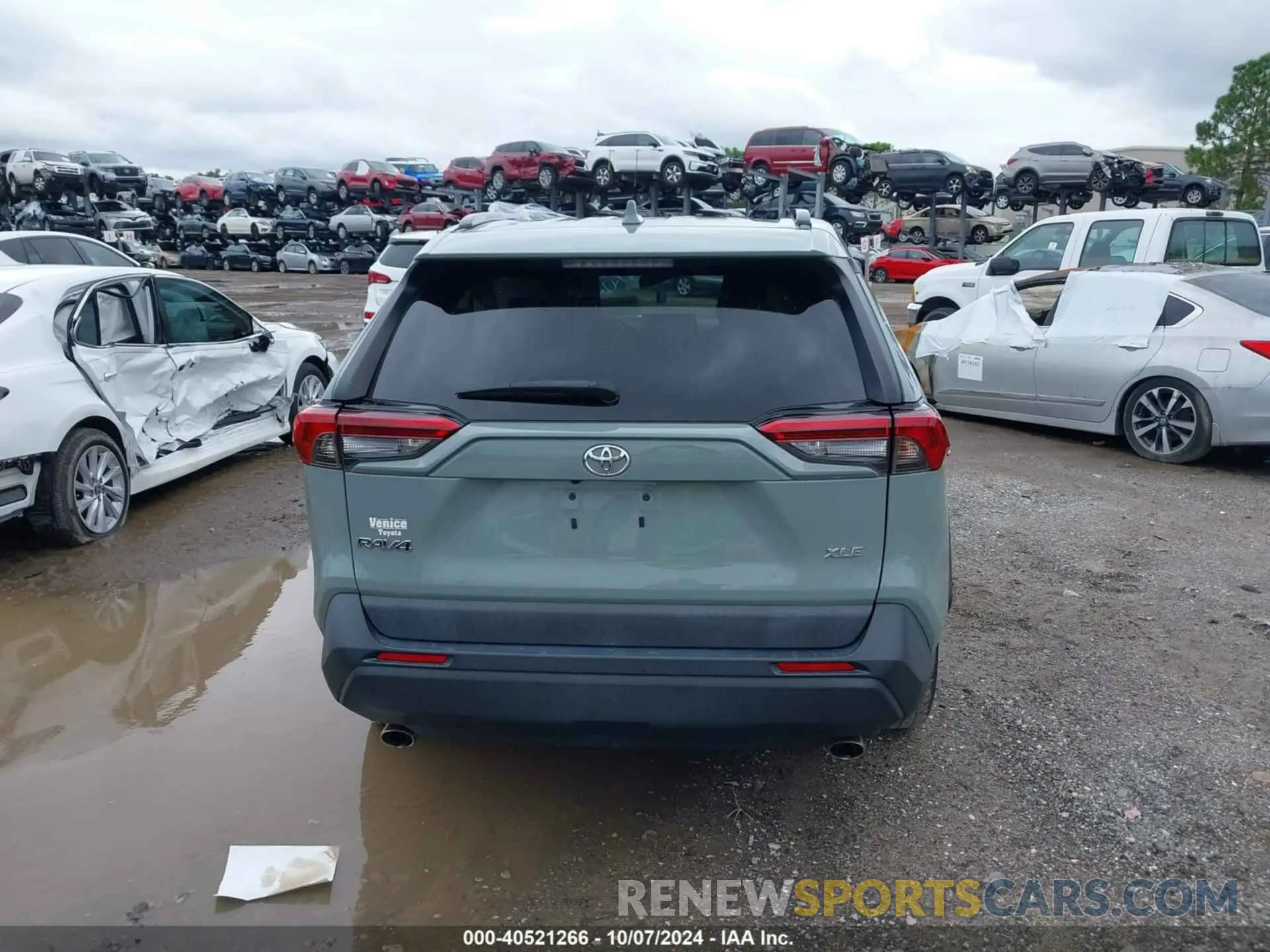 16 fotografías del automóvil dañado 2T3W1RFV9KW037691 TOYOTA RAV4 2019