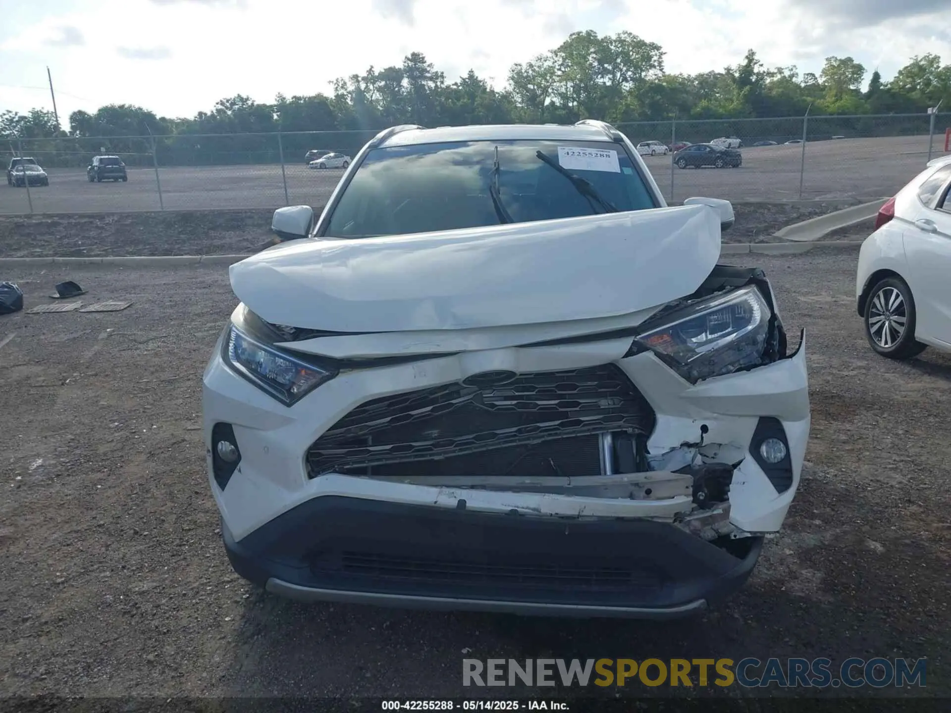 12 fotografías del automóvil dañado 2T3Y1RFV7KW017853 TOYOTA RAV4 2019