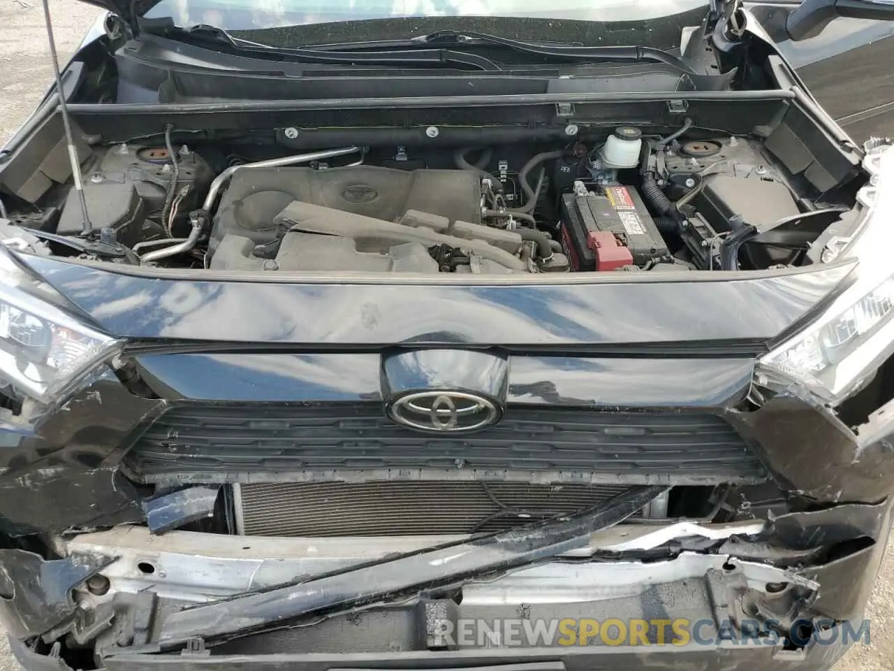 12 fotografías del automóvil dañado JTMA1RFV5KD509117 TOYOTA RAV4 2019