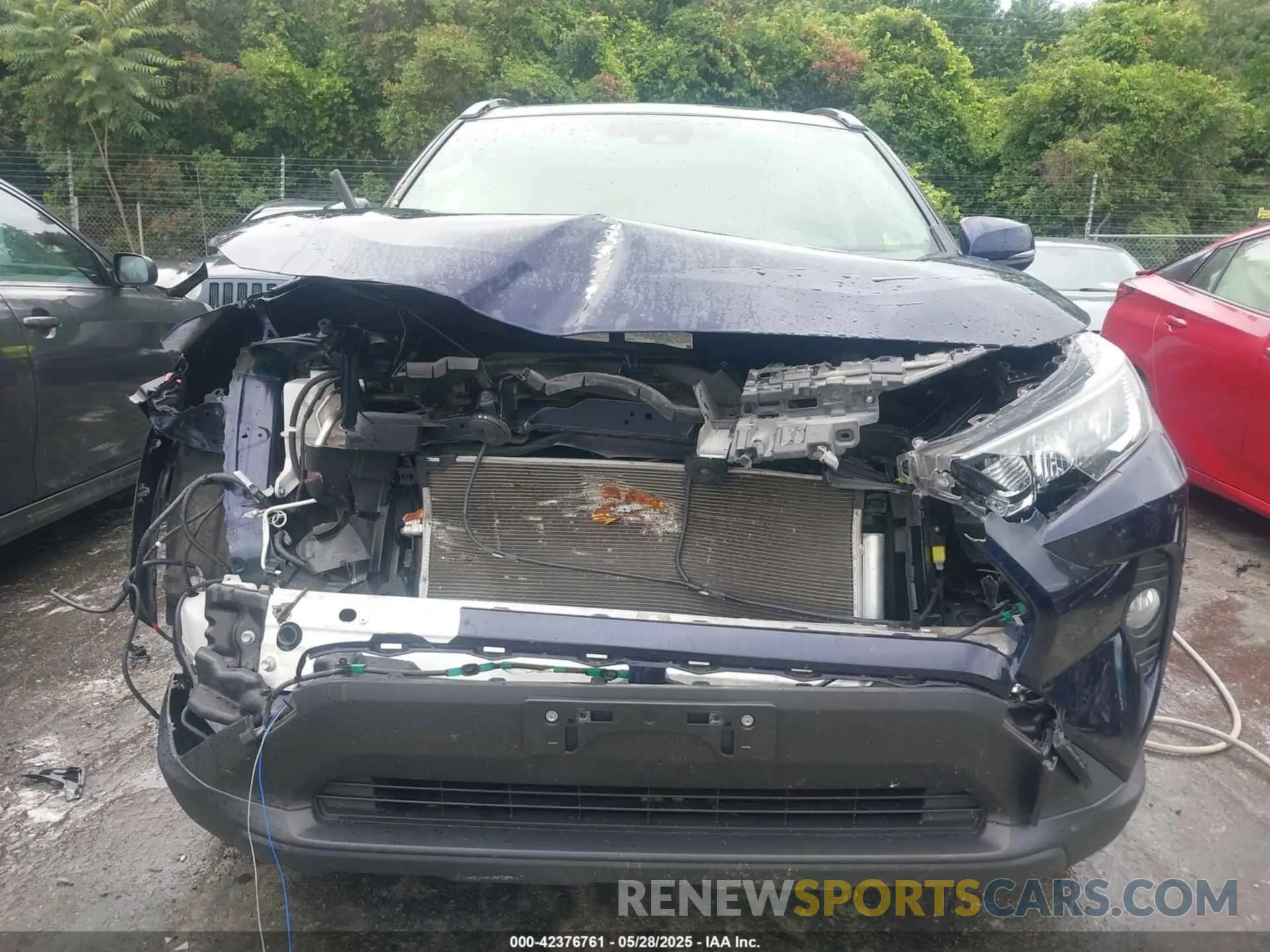 12 fotografías del automóvil dañado JTMA1RFV6KD025764 TOYOTA RAV4 2019