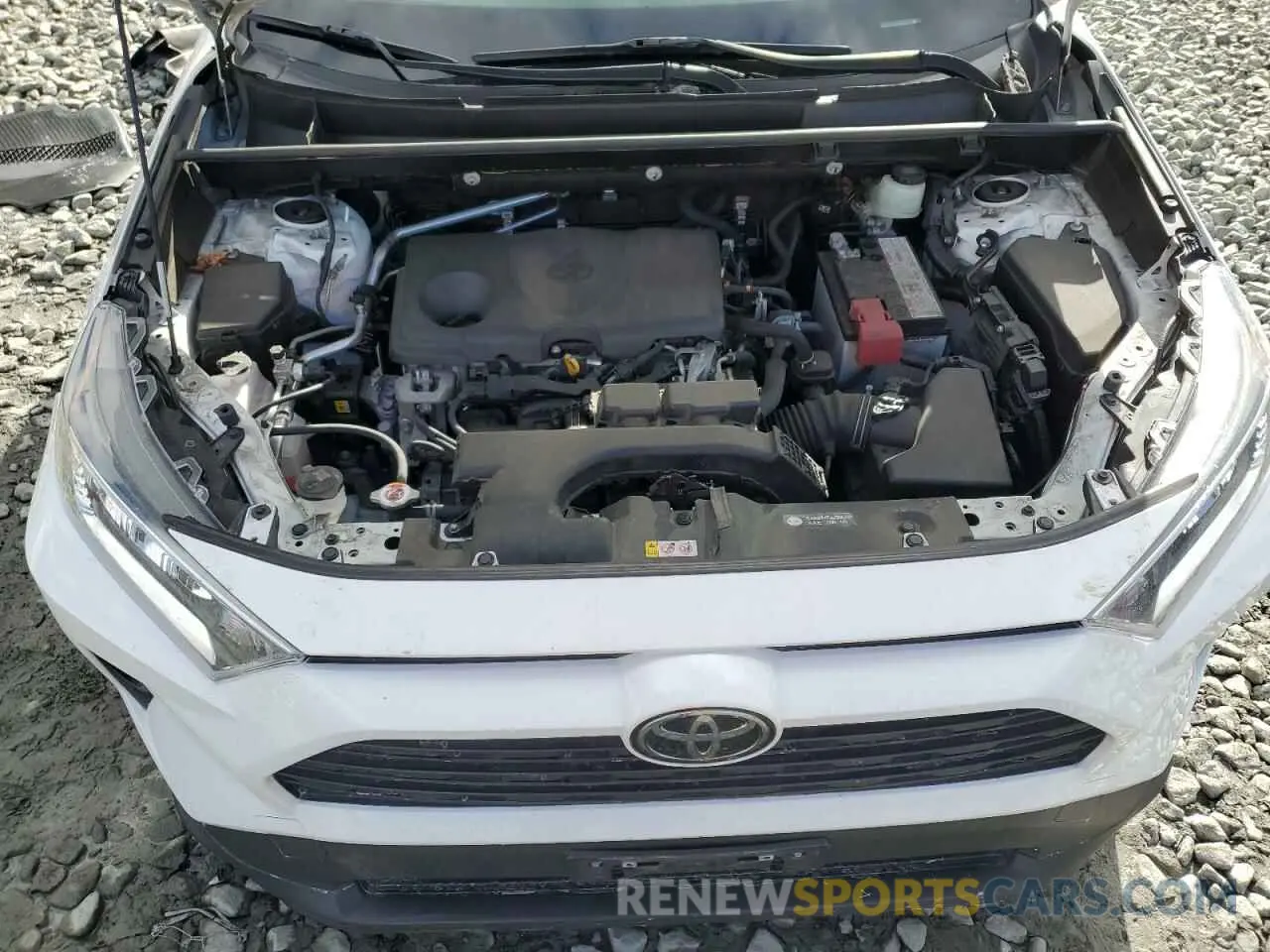 13 fotografías del automóvil dañado JTMA1RFV8KD045157 TOYOTA RAV4 2019