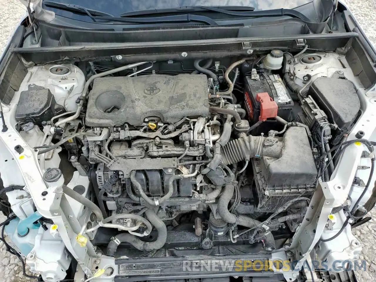 12 fotografías del automóvil dañado JTMC1RFV1KD022912 TOYOTA RAV4 2019