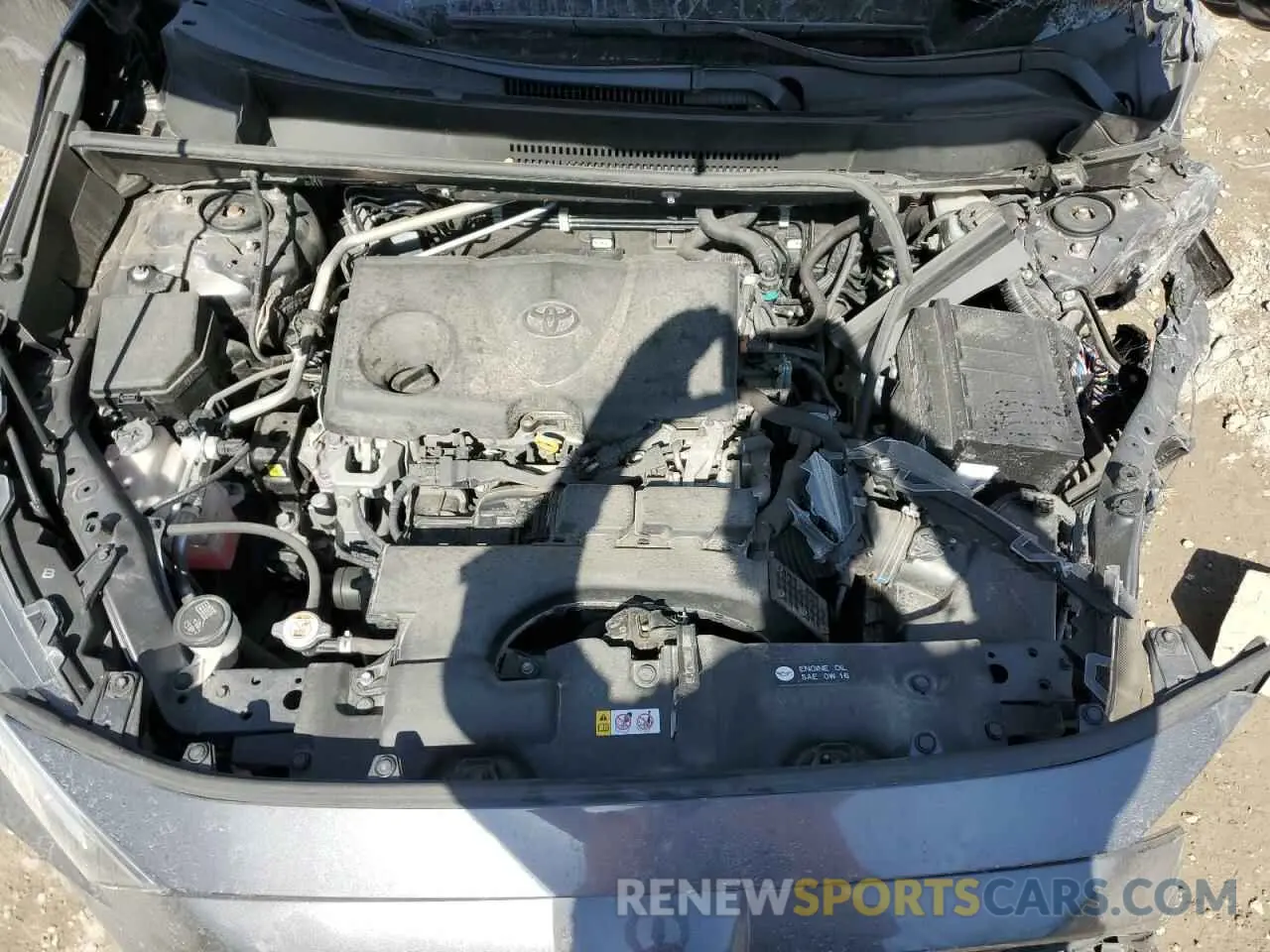 12 fotografías del automóvil dañado JTMC1RFV7KJ014430 TOYOTA RAV4 2019