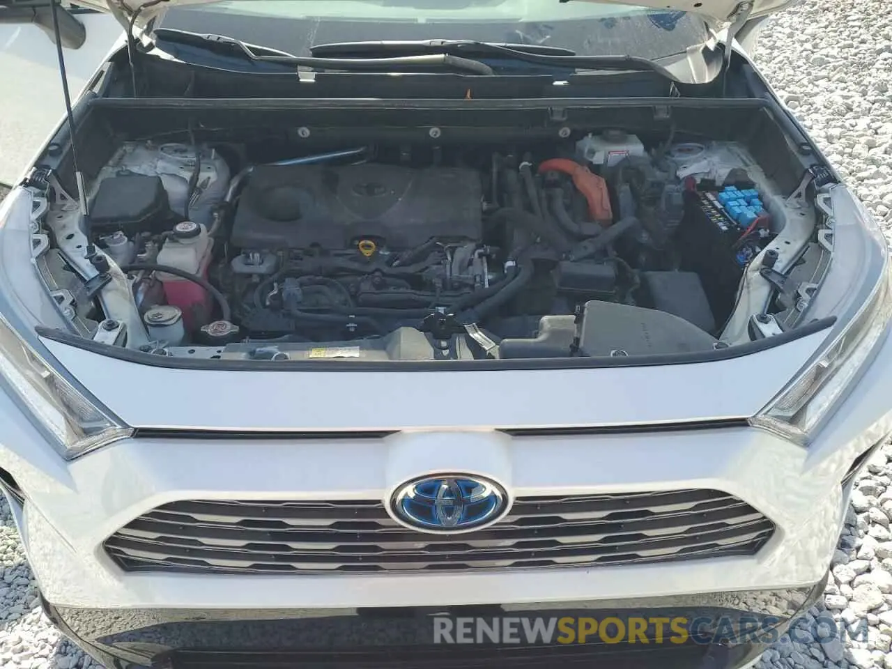 12 fotografías del automóvil dañado JTMEWRFV2KJ009355 TOYOTA RAV4 2019