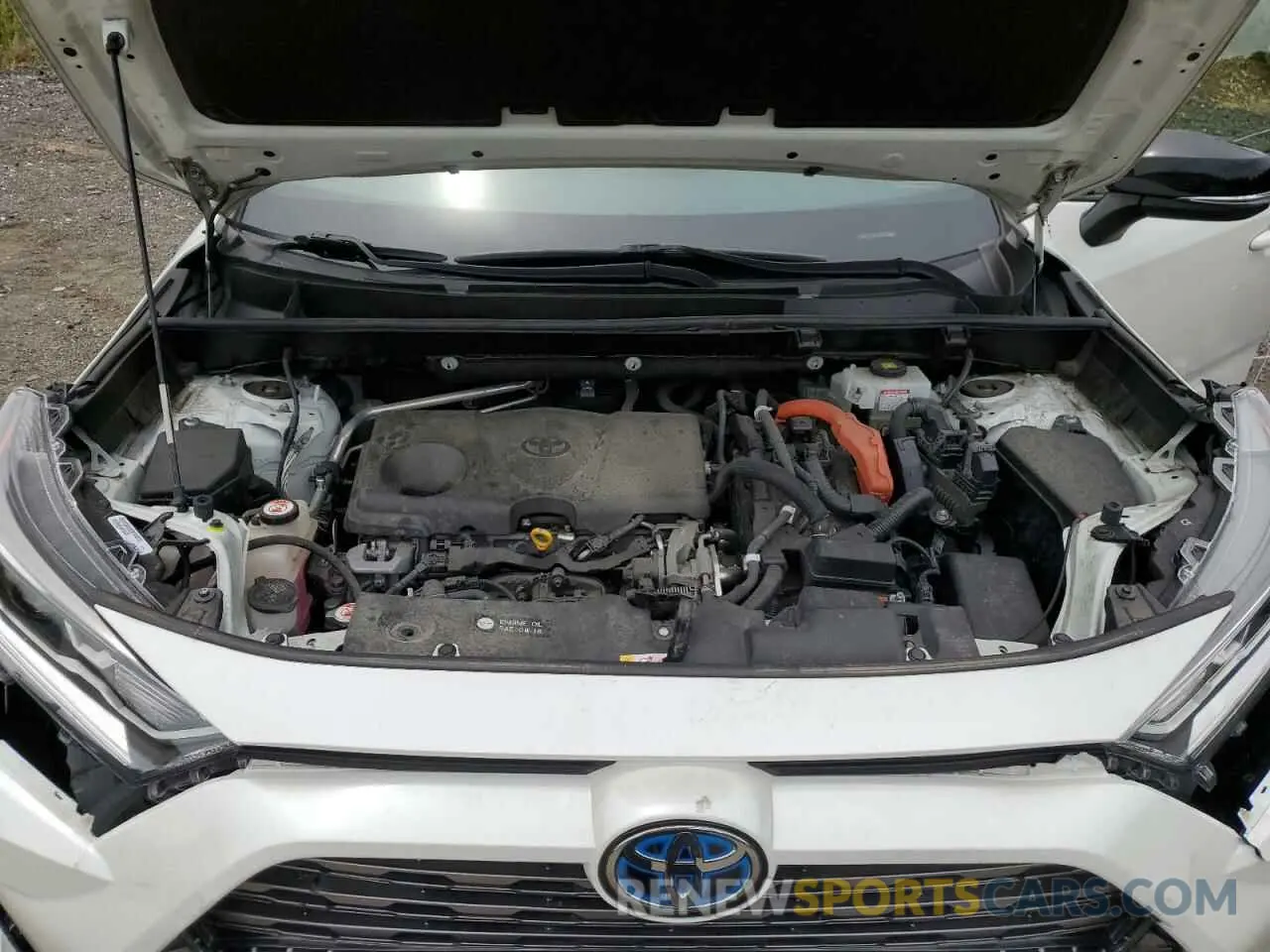 12 fotografías del automóvil dañado JTMEWRFV4KJ004433 TOYOTA RAV4 2019