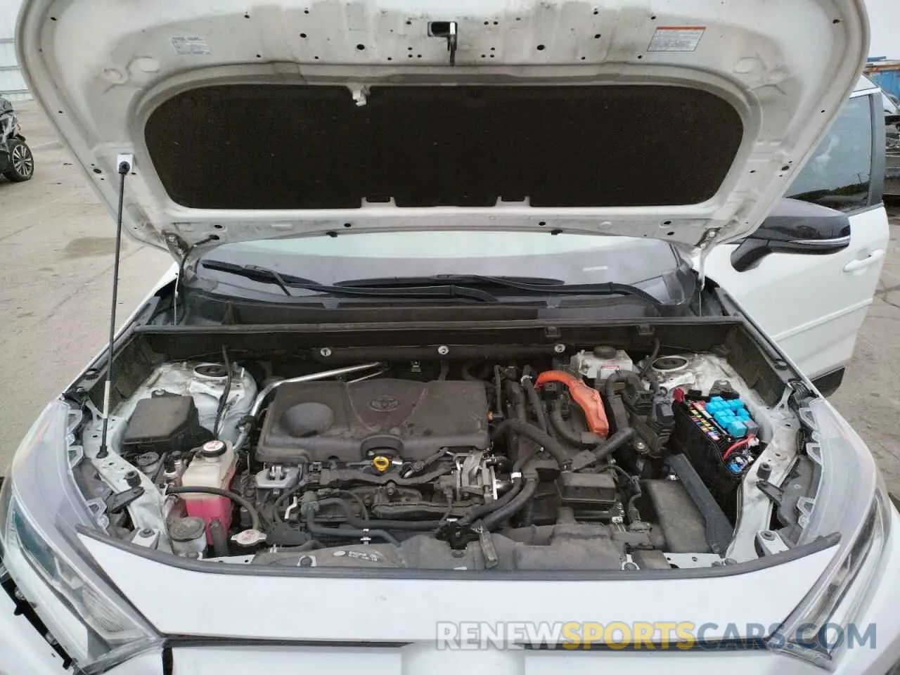 12 fotografías del automóvil dañado JTMEWRFV7KJ009948 TOYOTA RAV4 2019