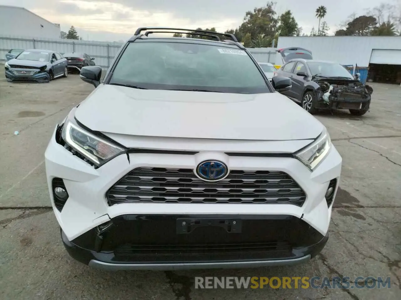 5 fotografías del automóvil dañado JTMEWRFV7KJ009948 TOYOTA RAV4 2019