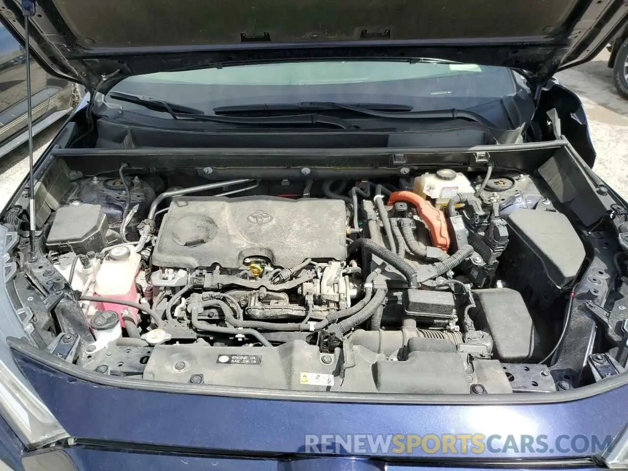 12 fotografías del automóvil dañado JTMEWRFV8KD520292 TOYOTA RAV4 2019