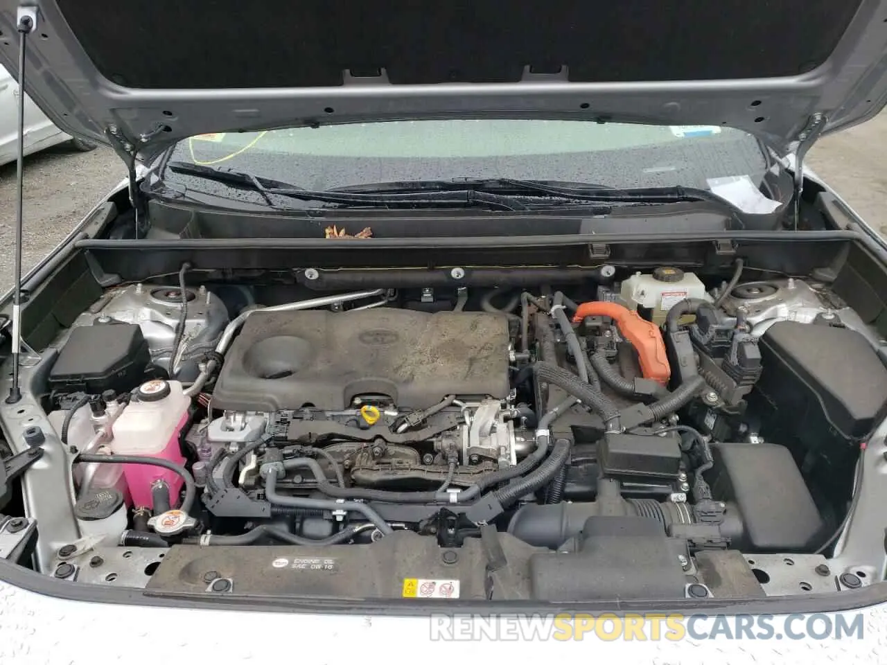 7 fotografías del automóvil dañado JTMEWRFV8KJ009781 TOYOTA RAV4 2019
