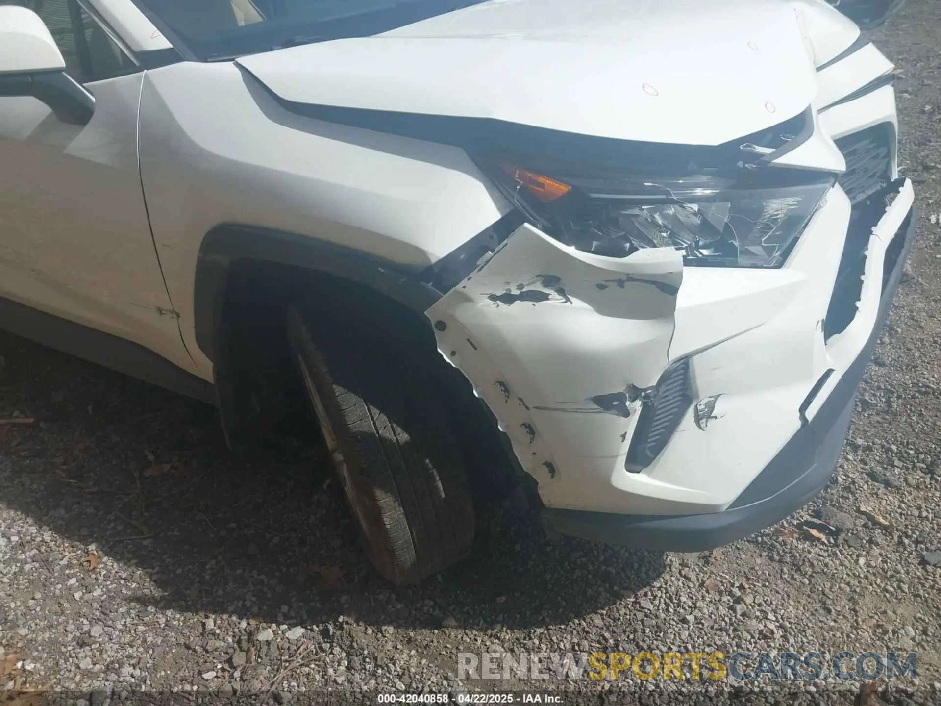 6 fotografías del automóvil dañado JTMG1RFV0KD043865 TOYOTA RAV4 2019