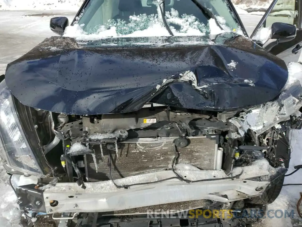 12 fotografías del automóvil dañado JTMG1RFV1KD033183 TOYOTA RAV4 2019
