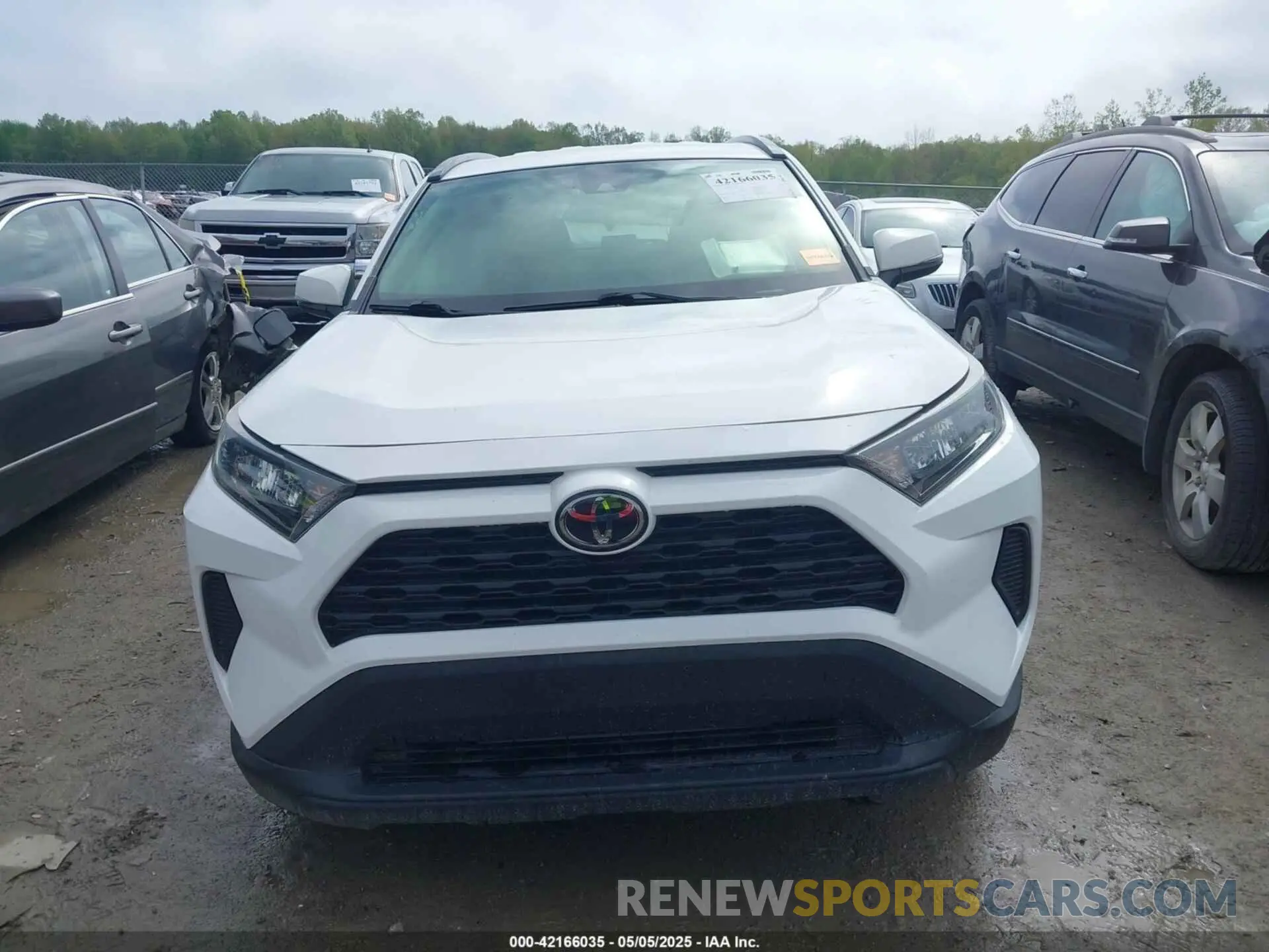 13 fotografías del automóvil dañado JTMG1RFV4KD022825 TOYOTA RAV4 2019