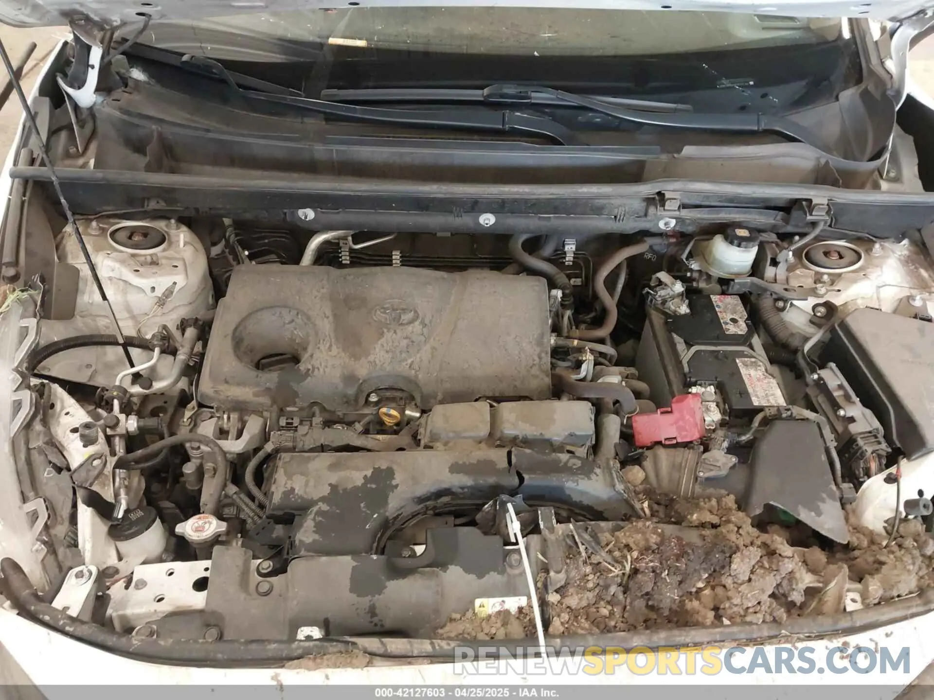 10 fotografías del automóvil dañado JTMG1RFV8KD503144 TOYOTA RAV4 2019