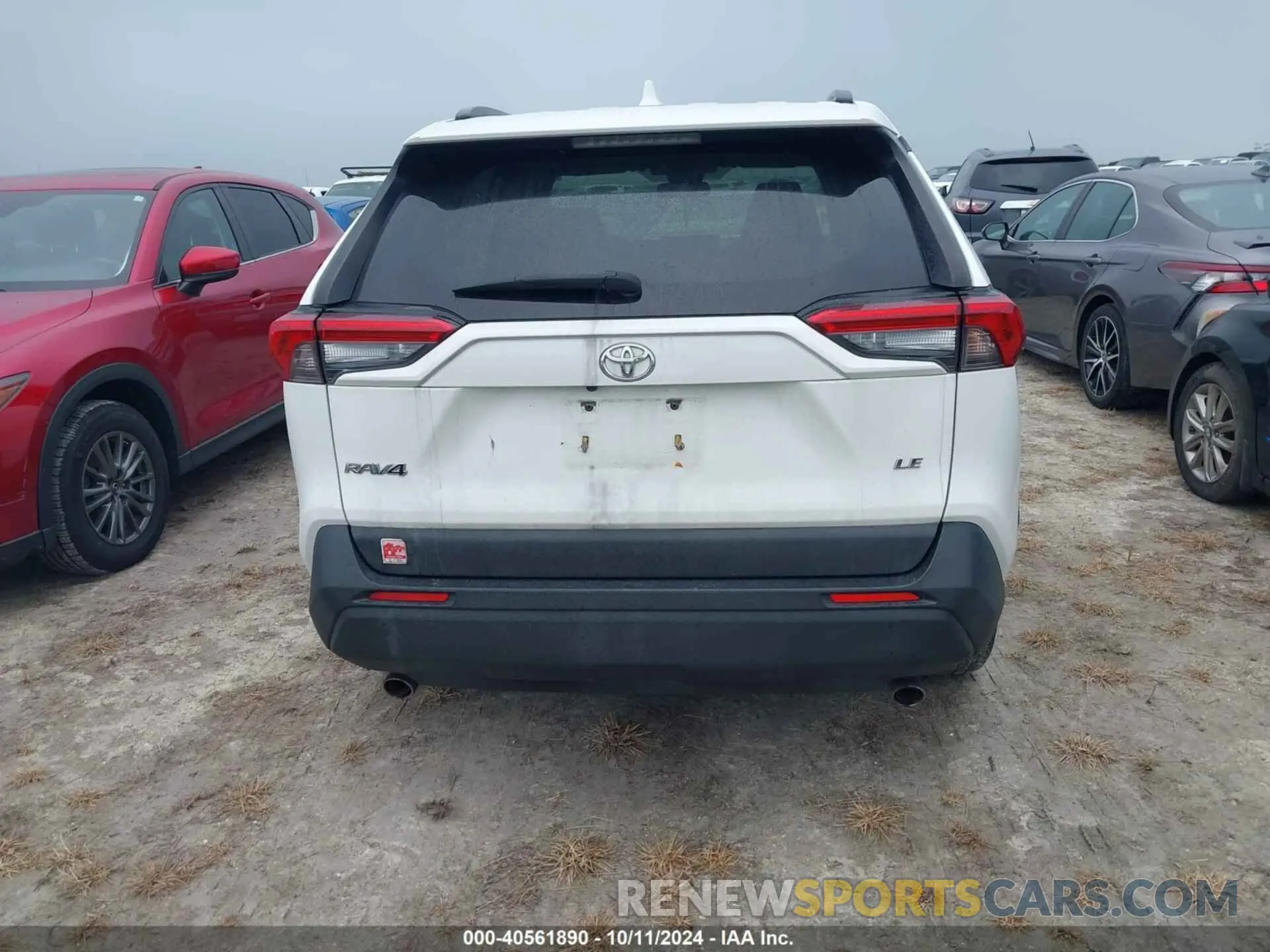 16 fotografías del automóvil dañado JTMH1RFV2KD022892 TOYOTA RAV4 2019