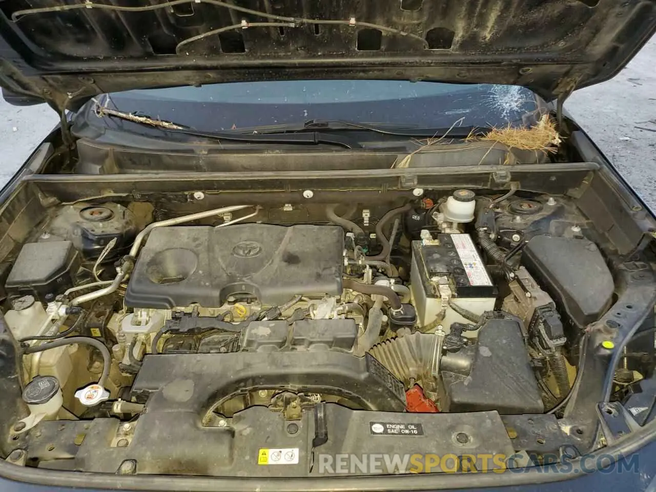 12 fotografías del automóvil dañado JTMH1RFV7KD008020 TOYOTA RAV4 2019