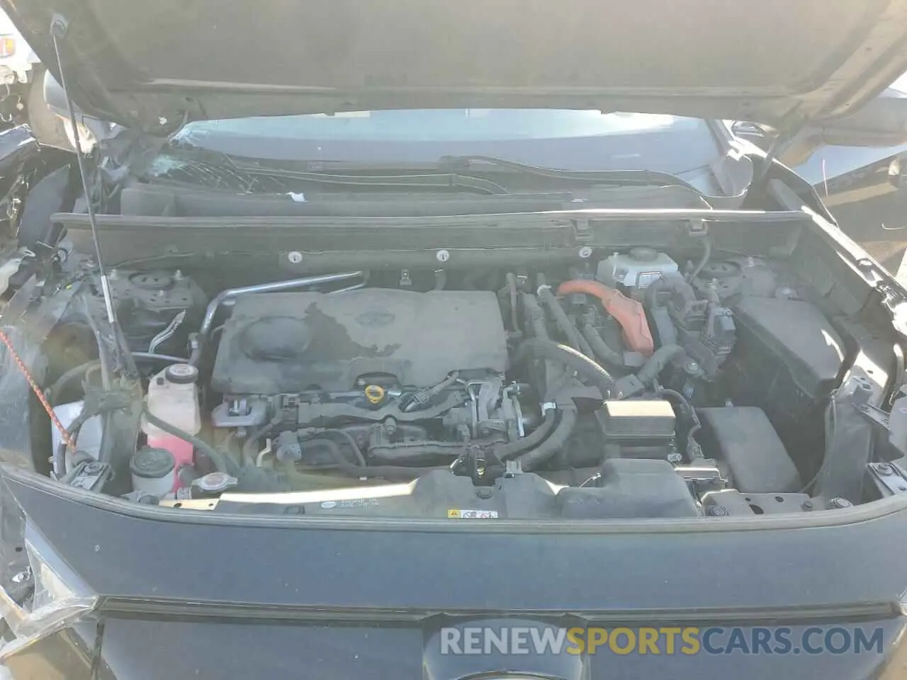 12 fotografías del automóvil dañado JTMLWRFV3KD021567 TOYOTA RAV4 2019
