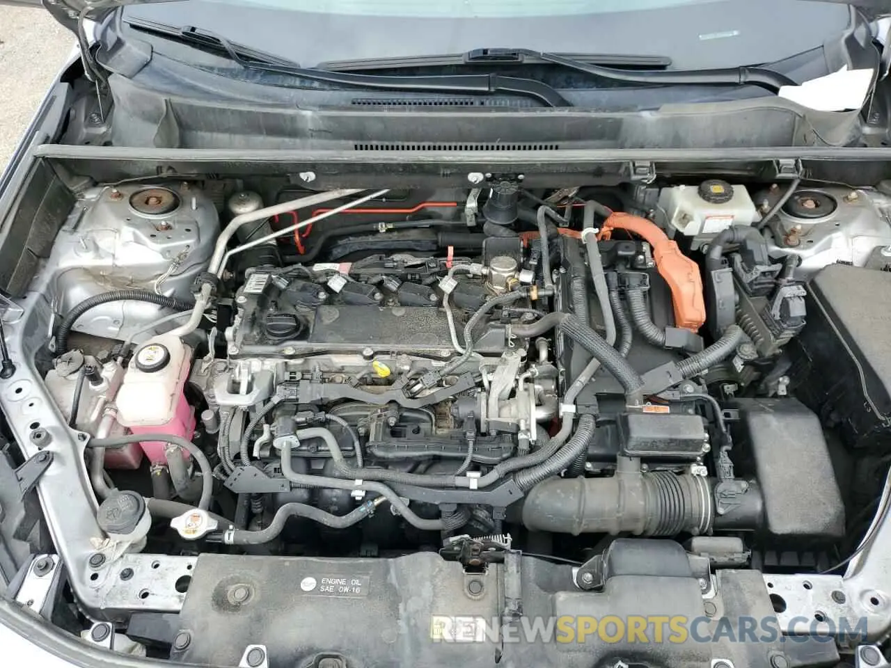 11 fotografías del automóvil dañado JTMLWRFV8KD033133 TOYOTA RAV4 2019